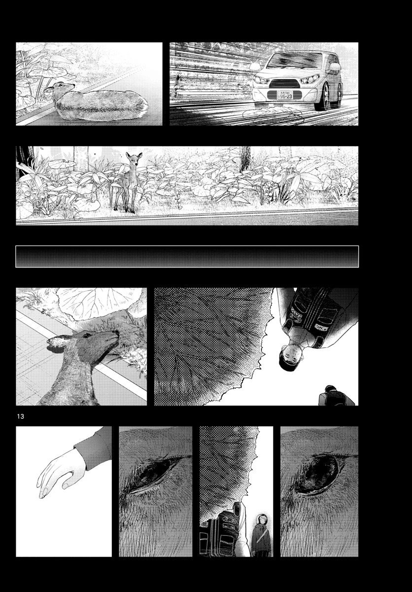 ラストカルテ-法獣医学者当麻健匠の記憶- 第19話 - 13