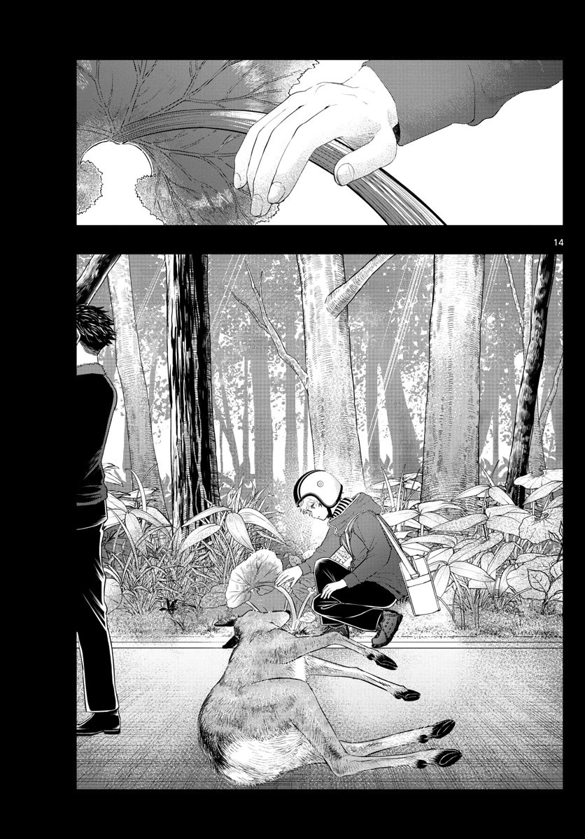 ラストカルテ-法獣医学者当麻健匠の記憶- 第19話 - 14