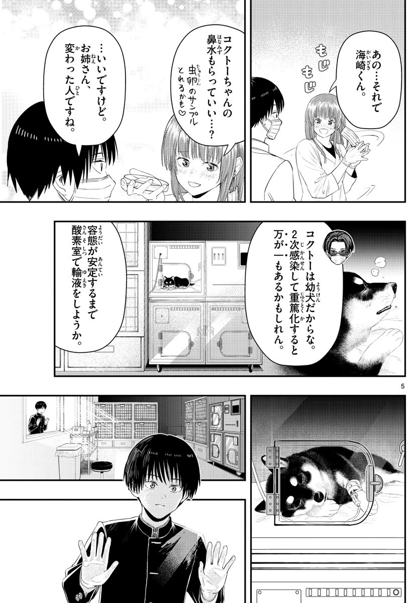 ラストカルテ-法獣医学者当麻健匠の記憶- 第25話 - 5