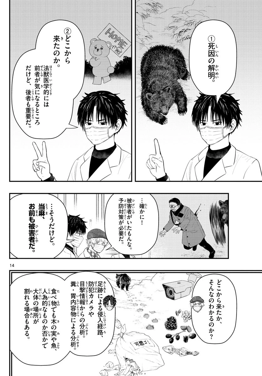 ラストカルテ-法獣医学者当麻健匠の記憶- 第27話 - 14