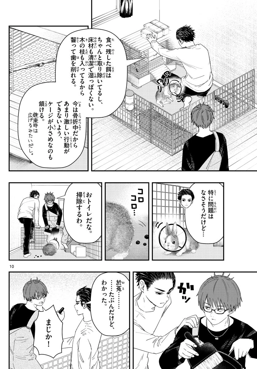 ラストカルテ-法獣医学者当麻健匠の記憶- 第32話 - 10