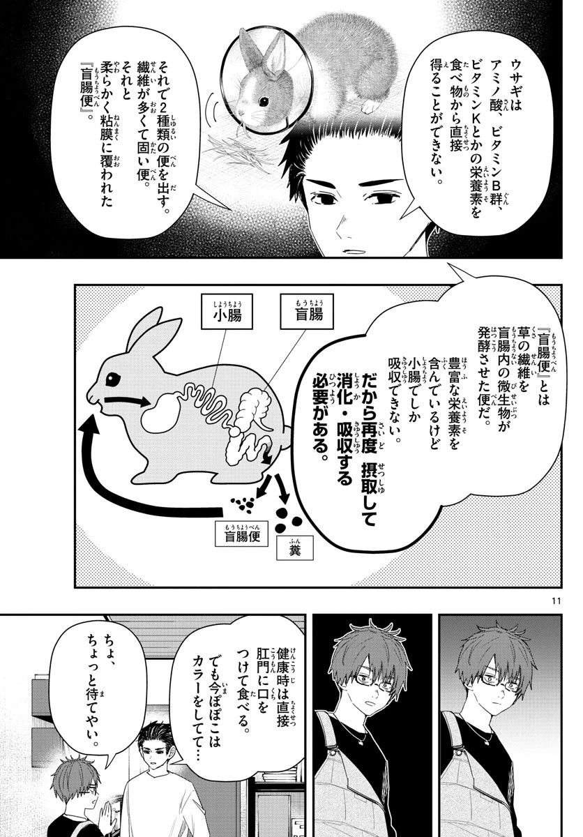 ラストカルテ-法獣医学者当麻健匠の記憶- 第32話 - 11