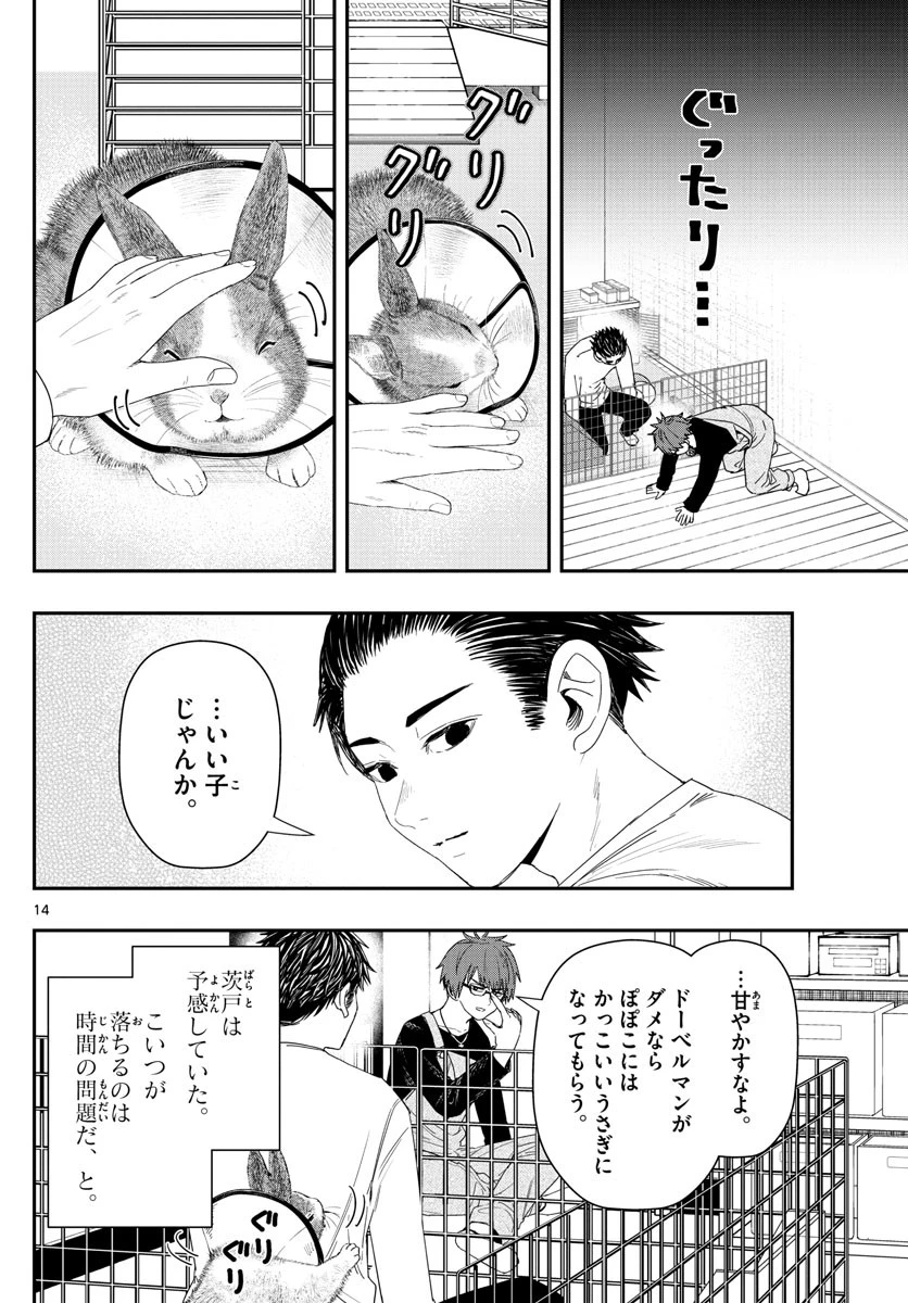 ラストカルテ-法獣医学者当麻健匠の記憶- 第32話 - 14