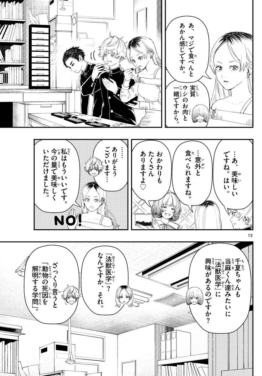 ラストカルテ-法獣医学者当麻健匠の記憶- 第33話 - 13