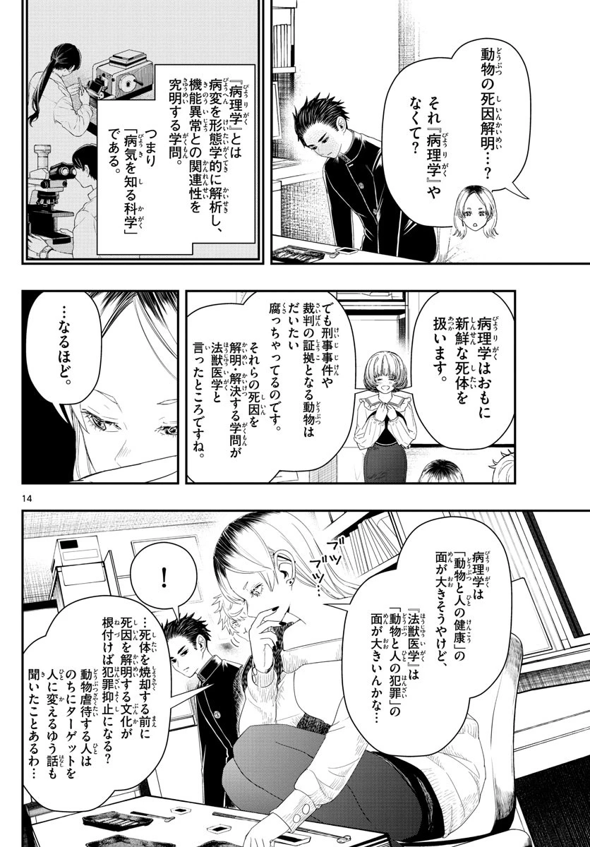 ラストカルテ-法獣医学者当麻健匠の記憶- 第33話 - 14