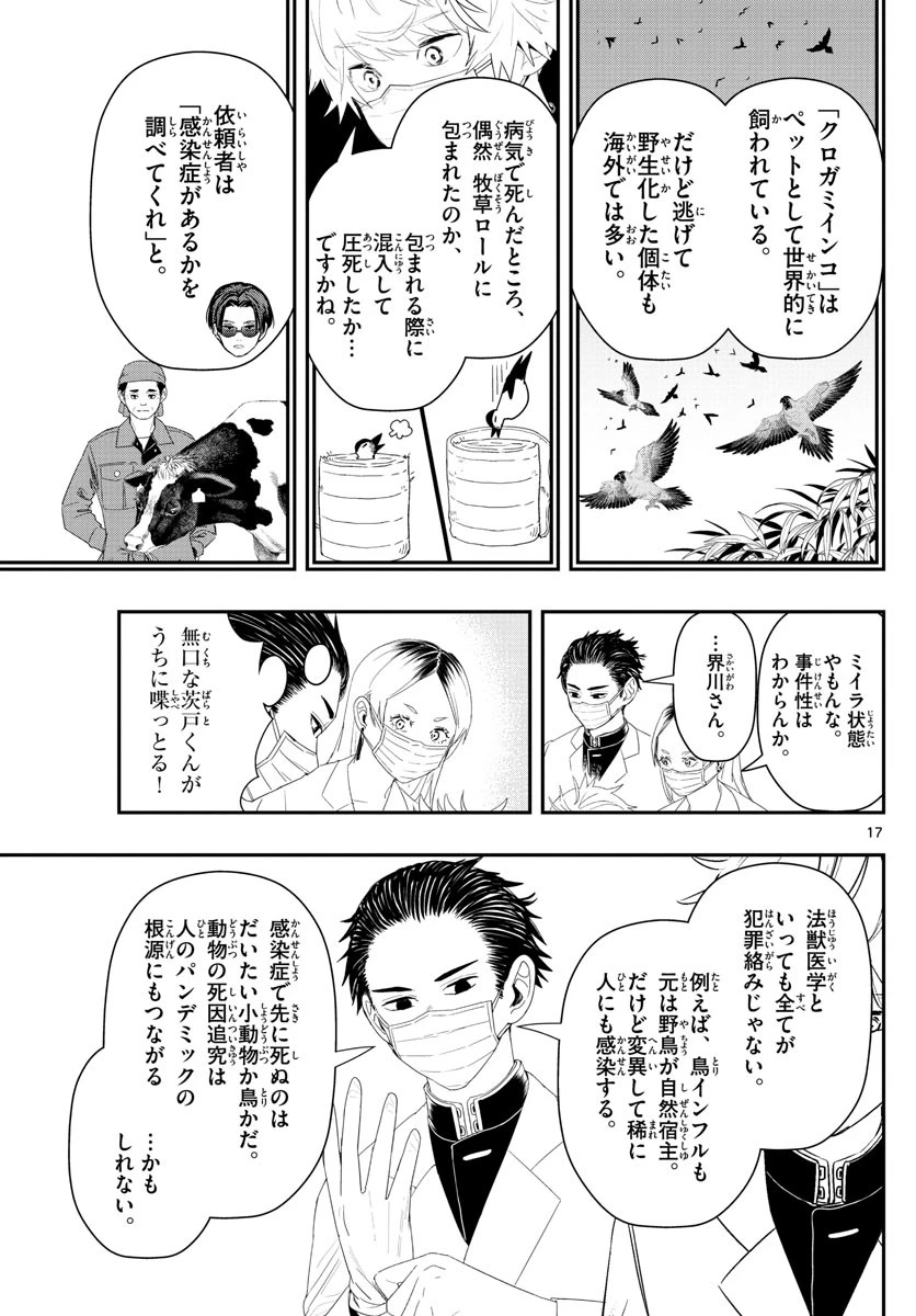 ラストカルテ-法獣医学者当麻健匠の記憶- 第33話 - 17