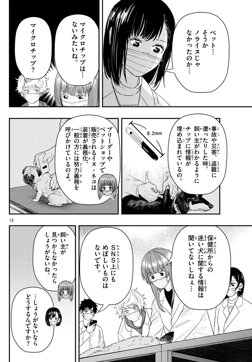 ラストカルテ-法獣医学者当麻健匠の記憶- 第46話 - 12