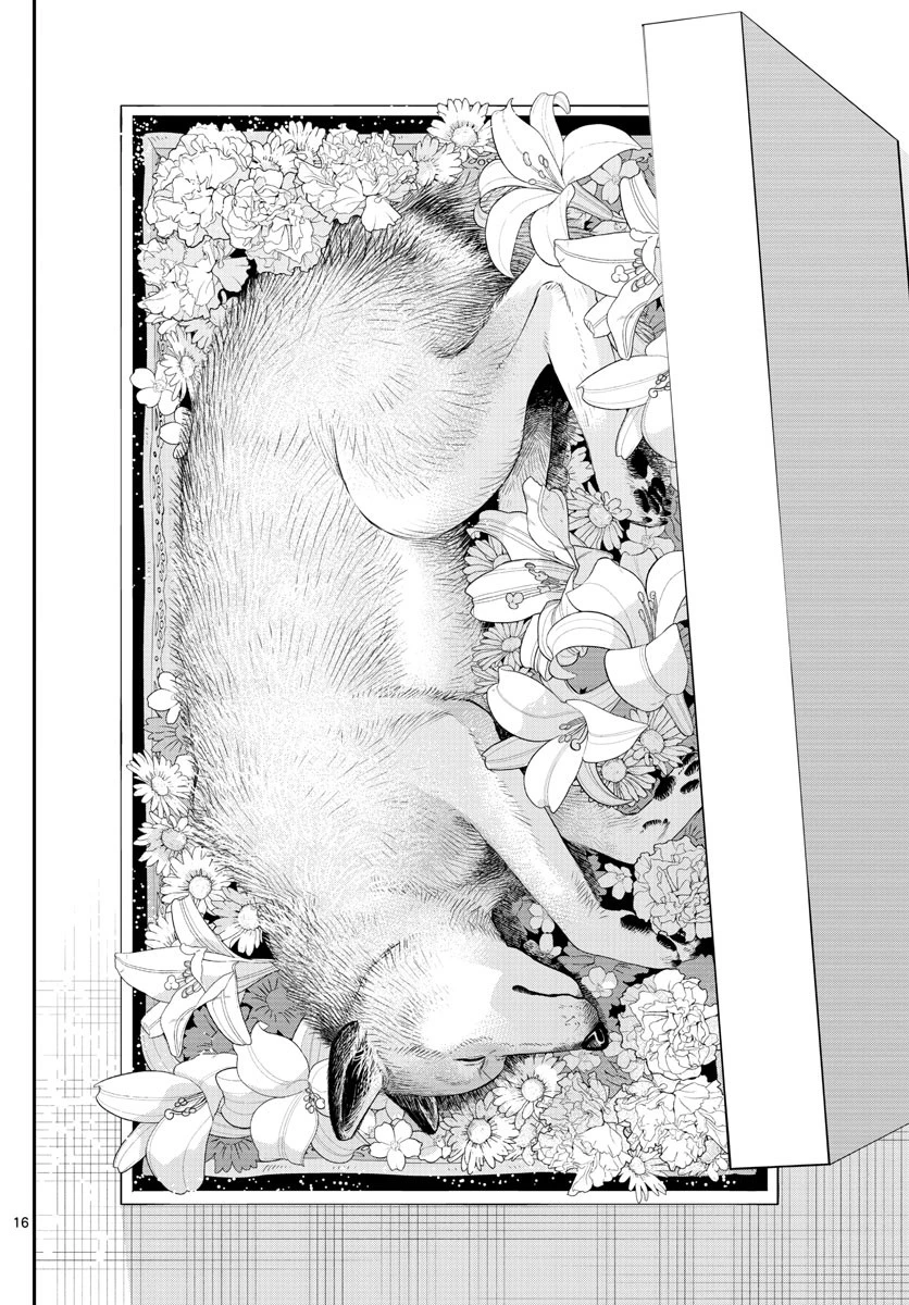 ラストカルテ-法獣医学者当麻健匠の記憶- 第47話 - 16