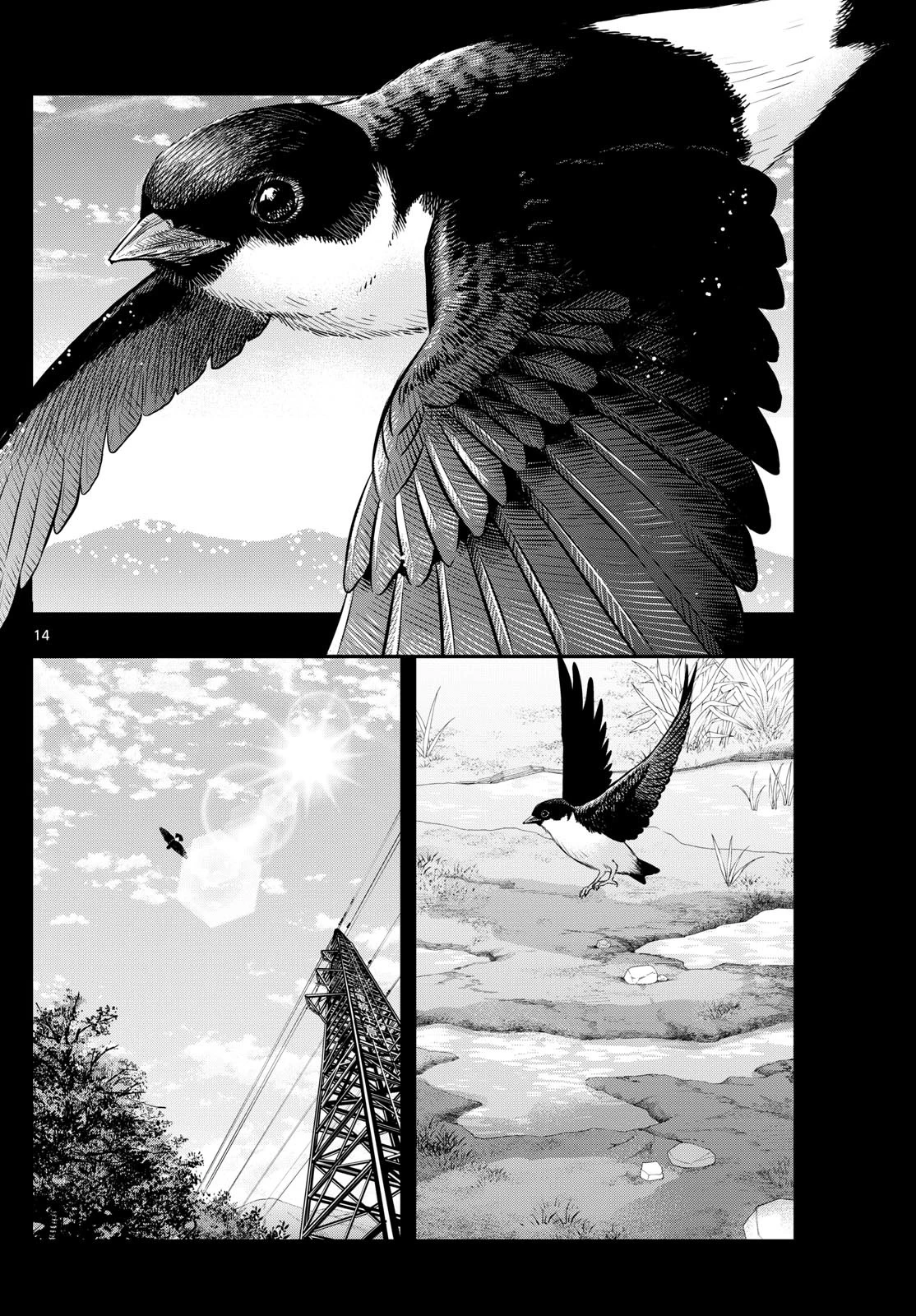 ラストカルテ-法獣医学者当麻健匠の記憶- 第72話 - 14