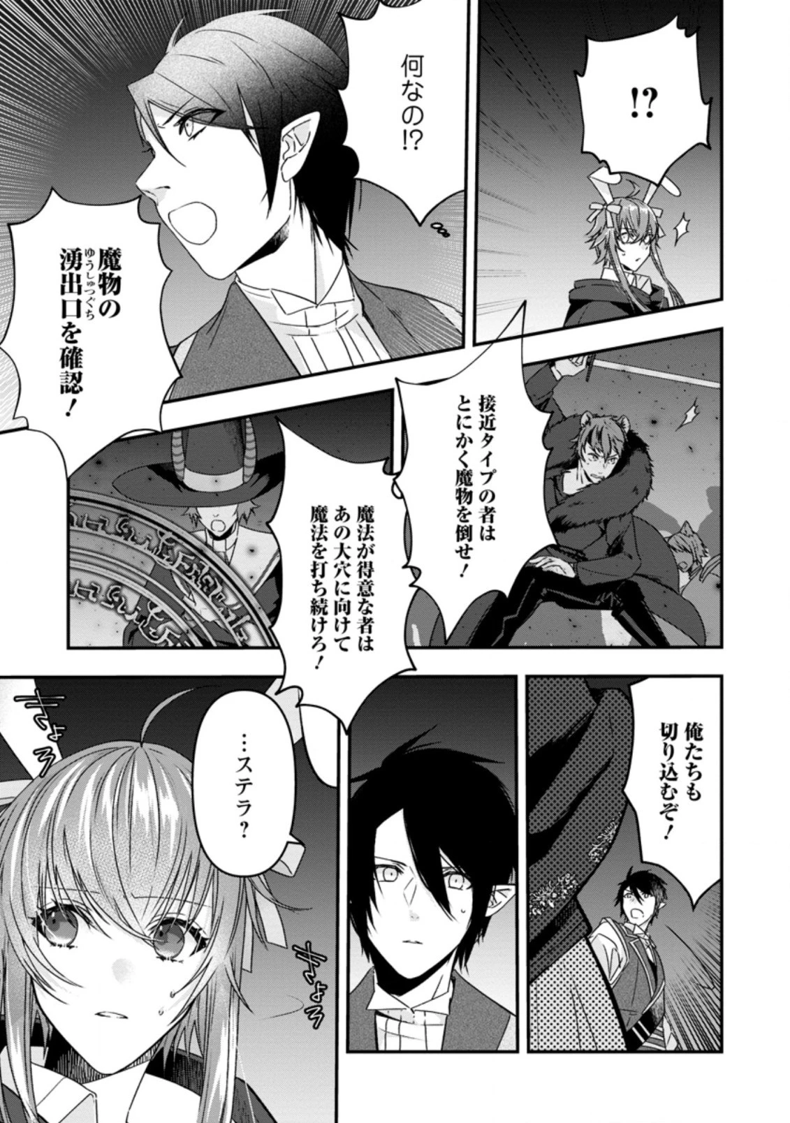 わたし、聖女じゃありませんから 第11話 - 11