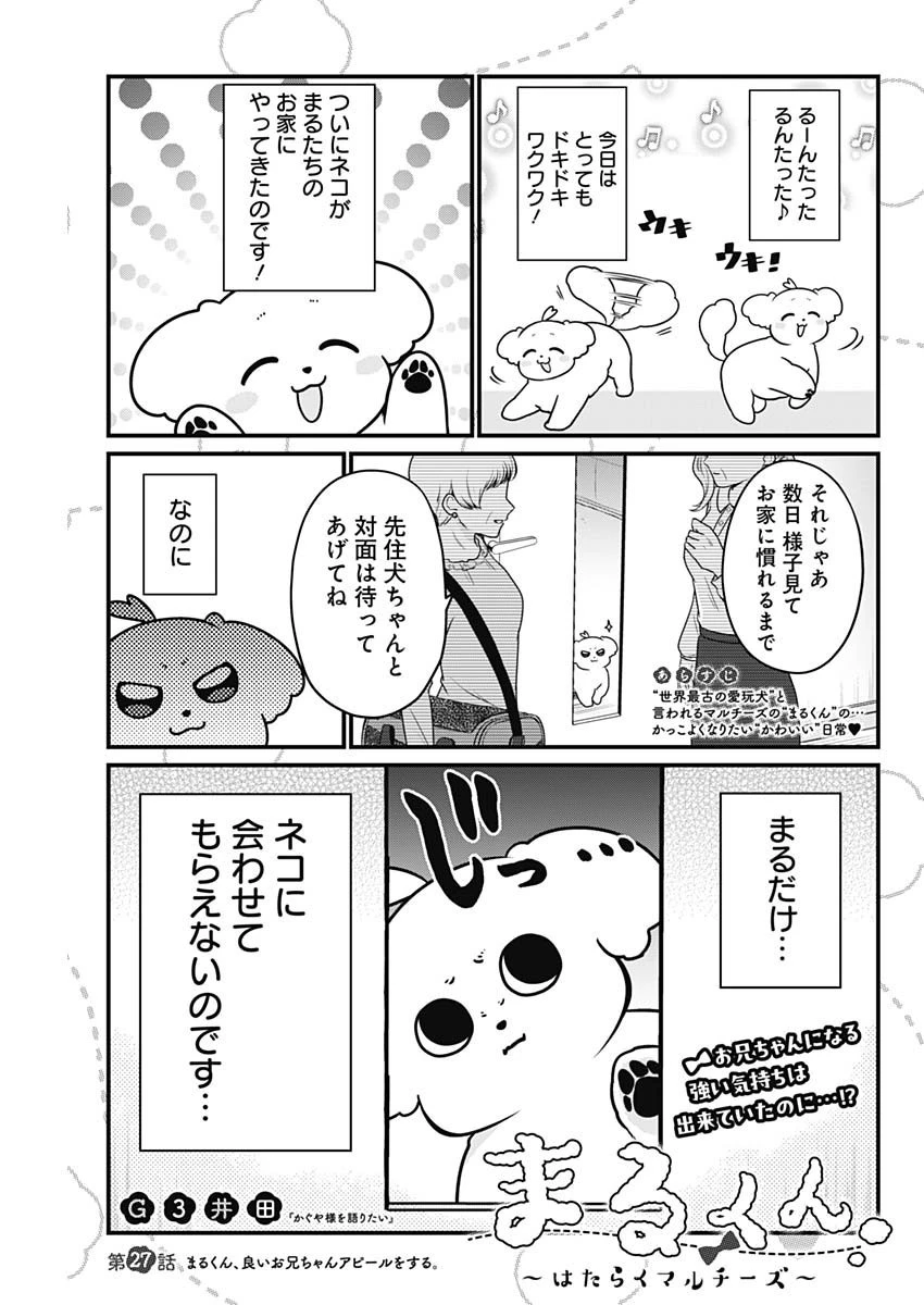 まるくん～はたらくマルチーズ～ 第27話 - 1