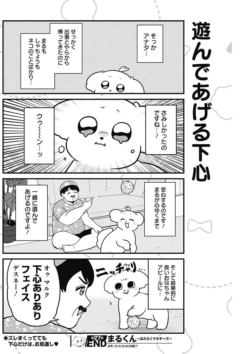 まるくん～はたらくマルチーズ～ 第27話 - 8