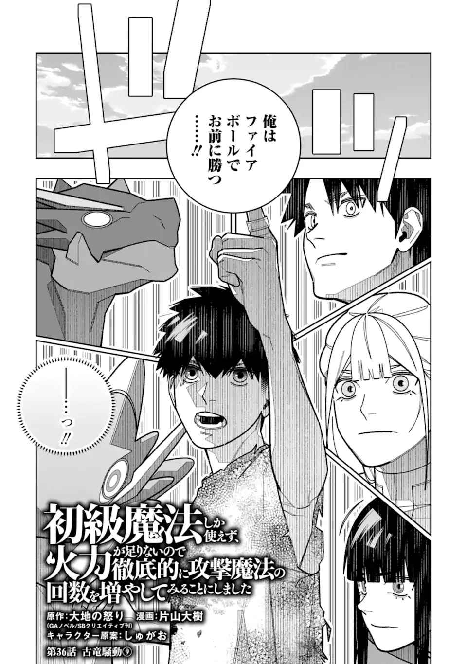 初級魔法しか使えず、火力が足りないので徹底的に攻撃魔法の回数を増やしてみることにしました 第36話 - 1