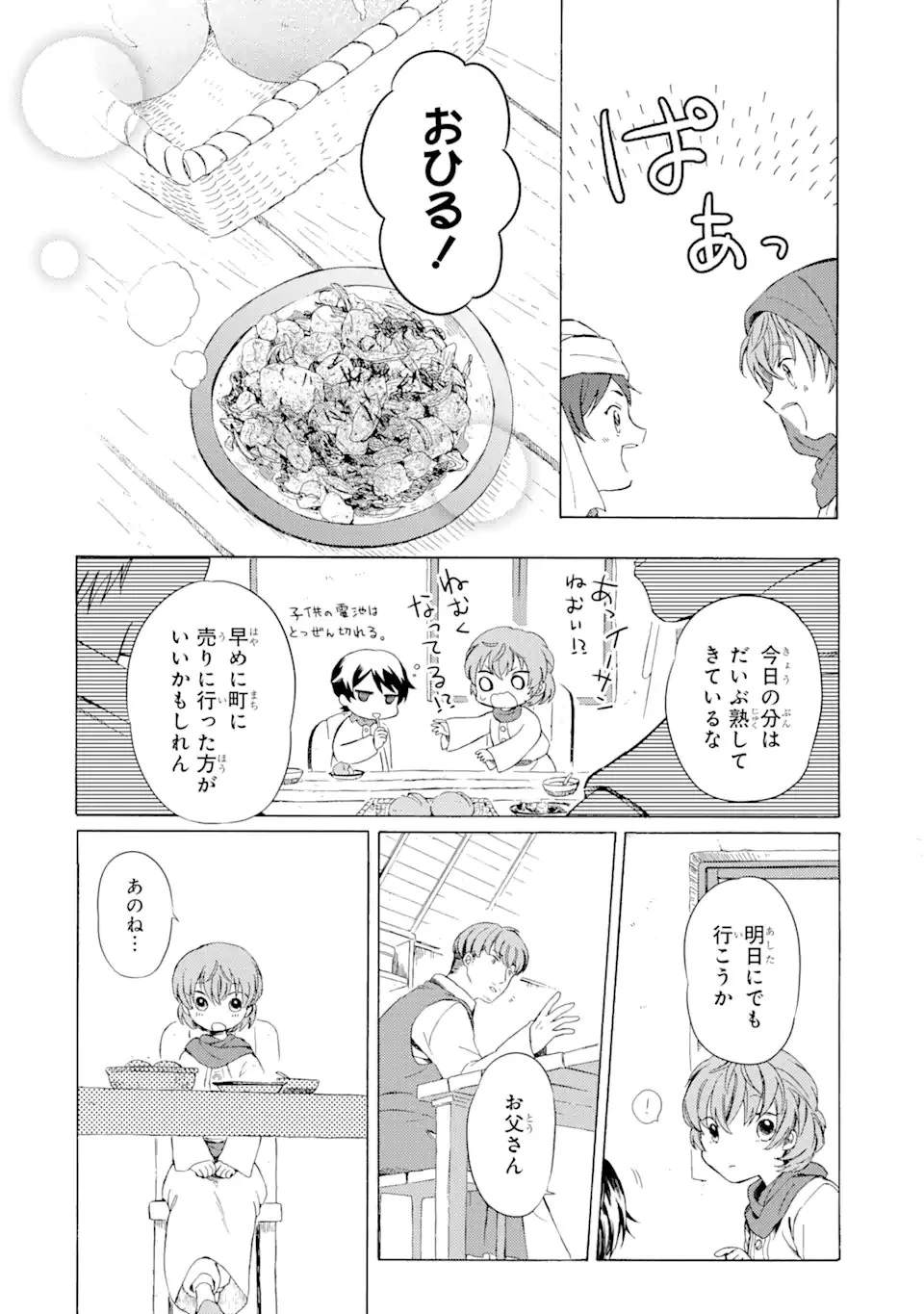 砂漠の国の雨降らし姫～前世で処刑された魔法使いは農家の娘になりました～ 第1話 - 14