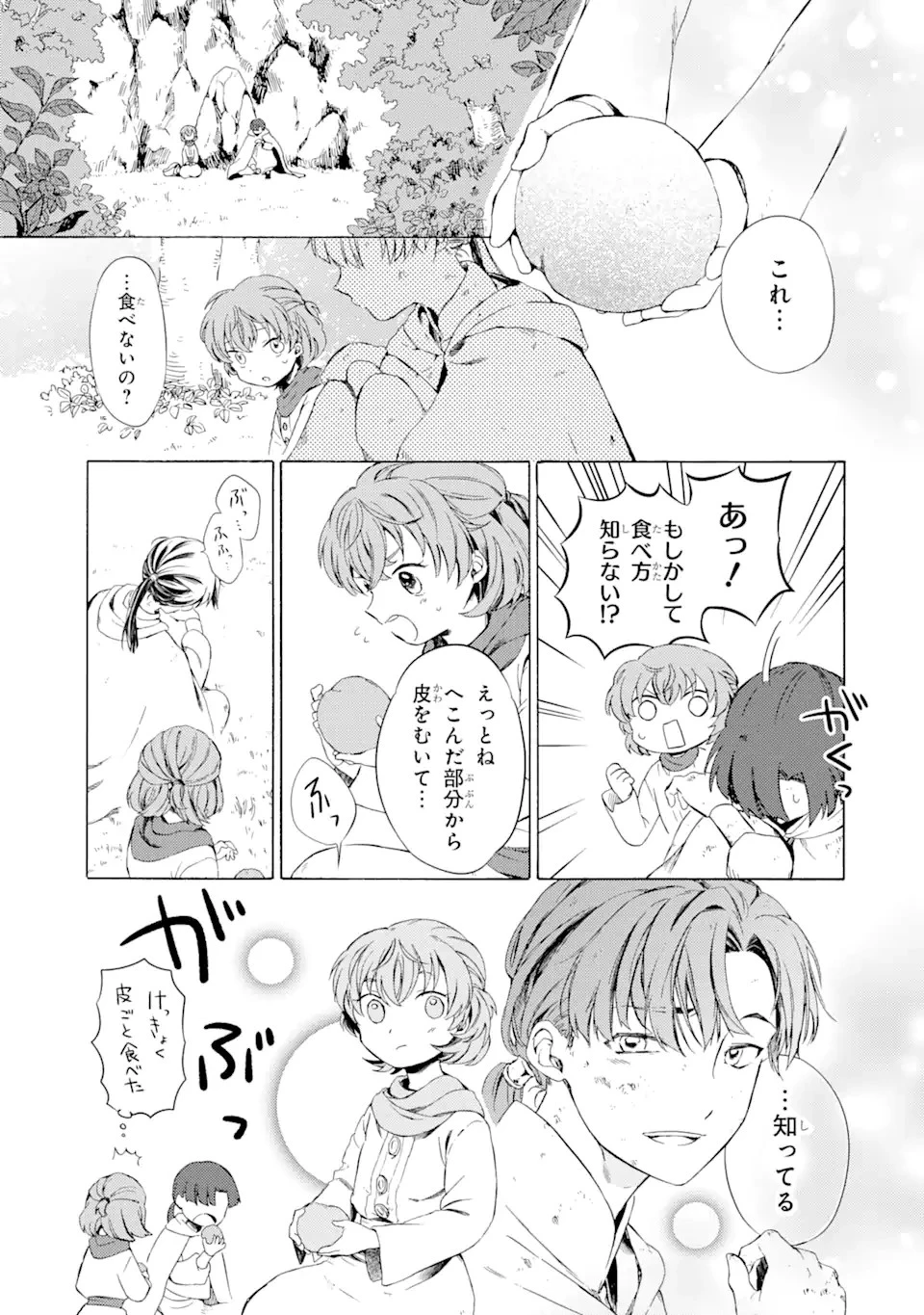 砂漠の国の雨降らし姫～前世で処刑された魔法使いは農家の娘になりました～ 第1話 - 25