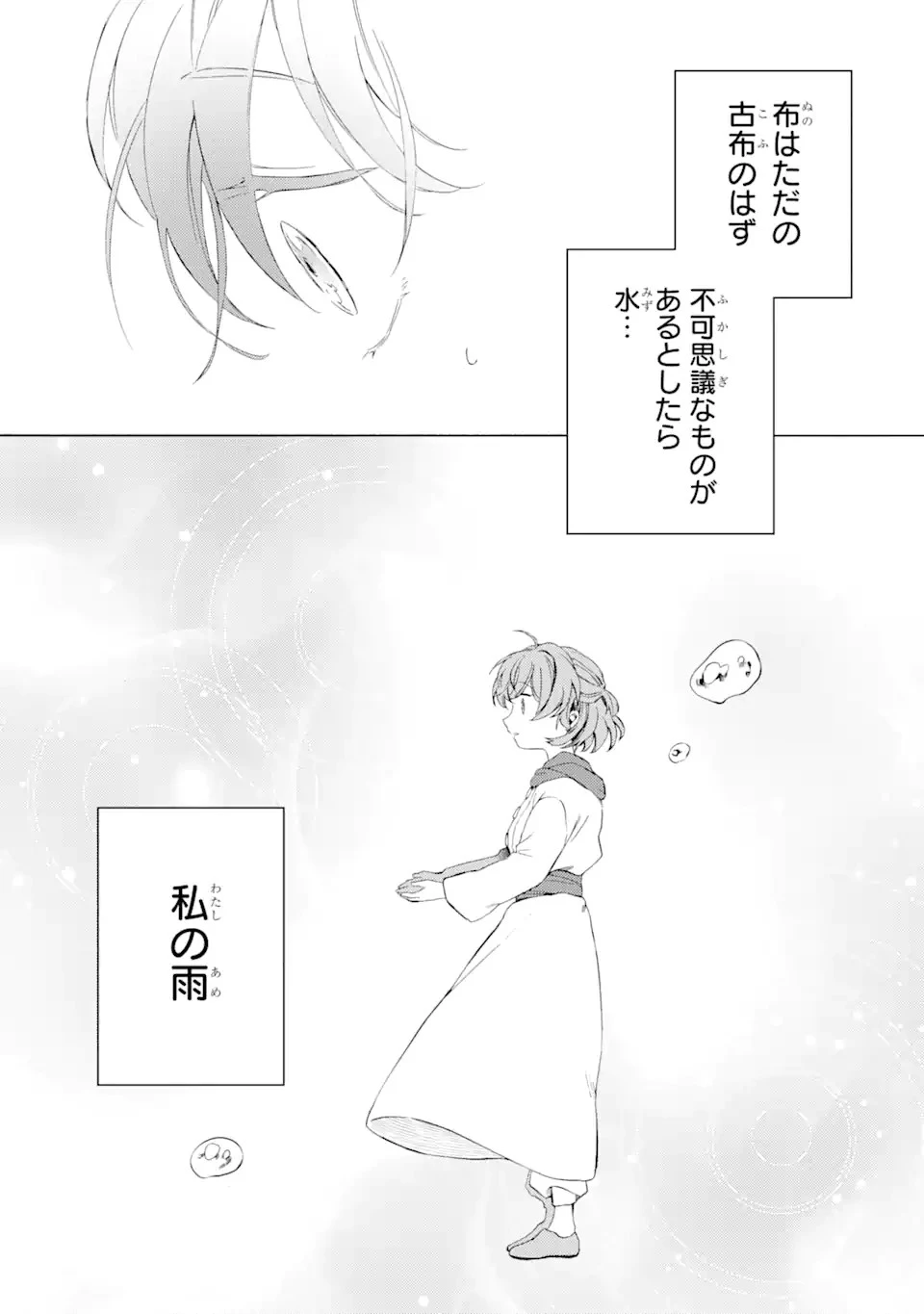 砂漠の国の雨降らし姫～前世で処刑された魔法使いは農家の娘になりました～ 第1話 - 39