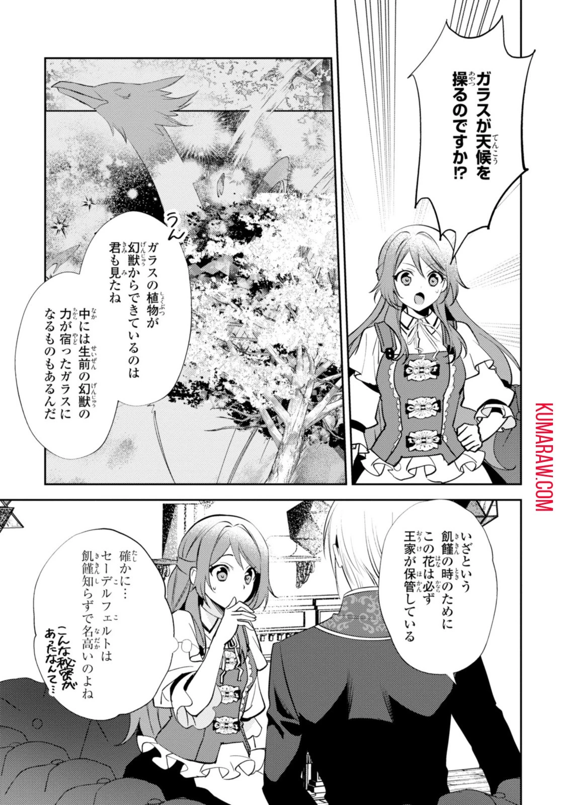 まがいもの令嬢から愛され薬師になりました 第13話 - 9