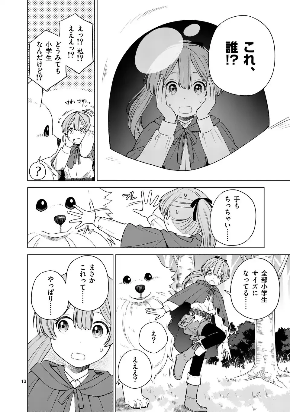 異世界ポメラニアンと虹のもふもふ旅 第1話 - 13