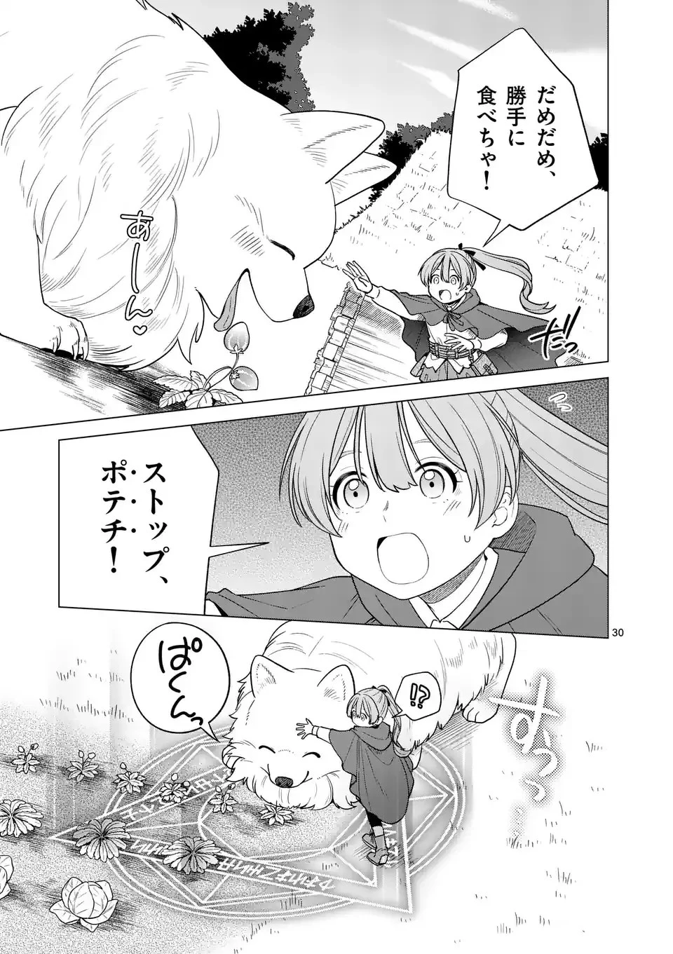 異世界ポメラニアンと虹のもふもふ旅 第1話 - 30