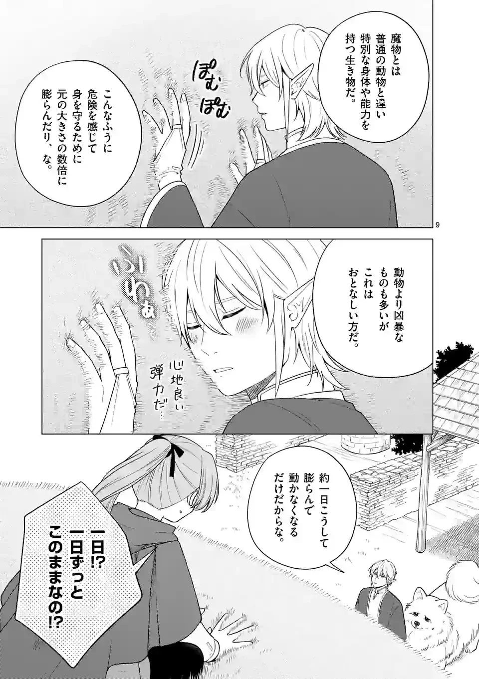 異世界ポメラニアンと虹のもふもふ旅 第3話 - 9