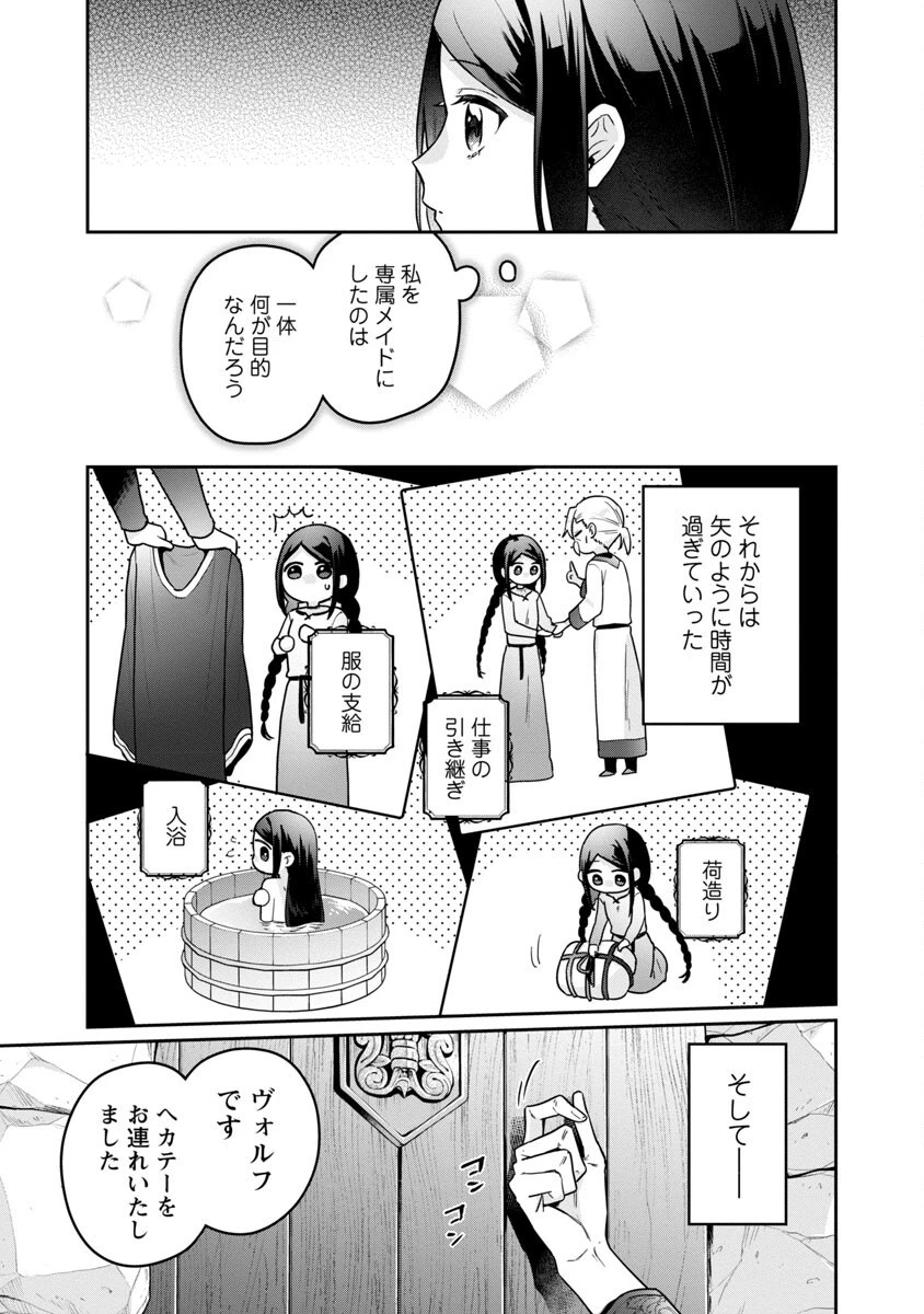 塔の医学録~悪魔に仕えたメイドの記~ 第2話 - 20
