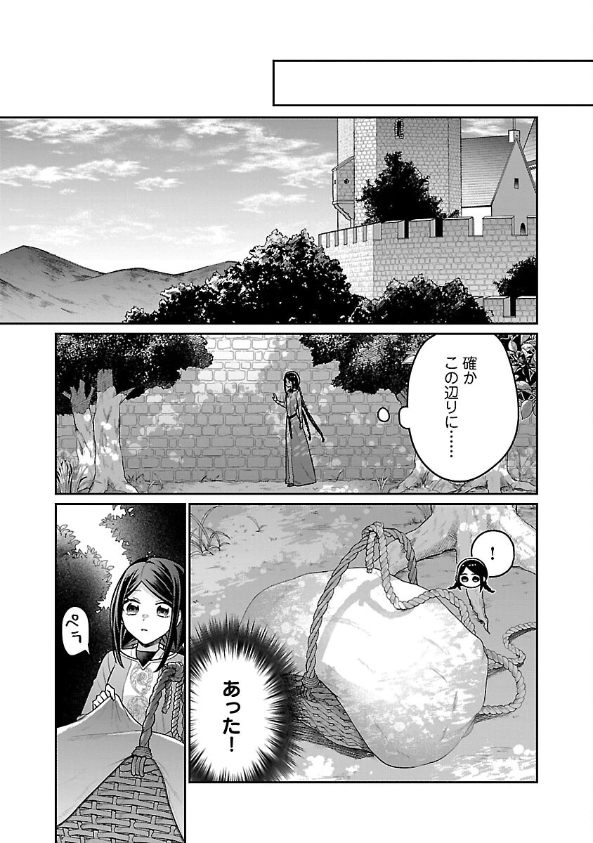 塔の医学録~悪魔に仕えたメイドの記~ 第8話 - 17