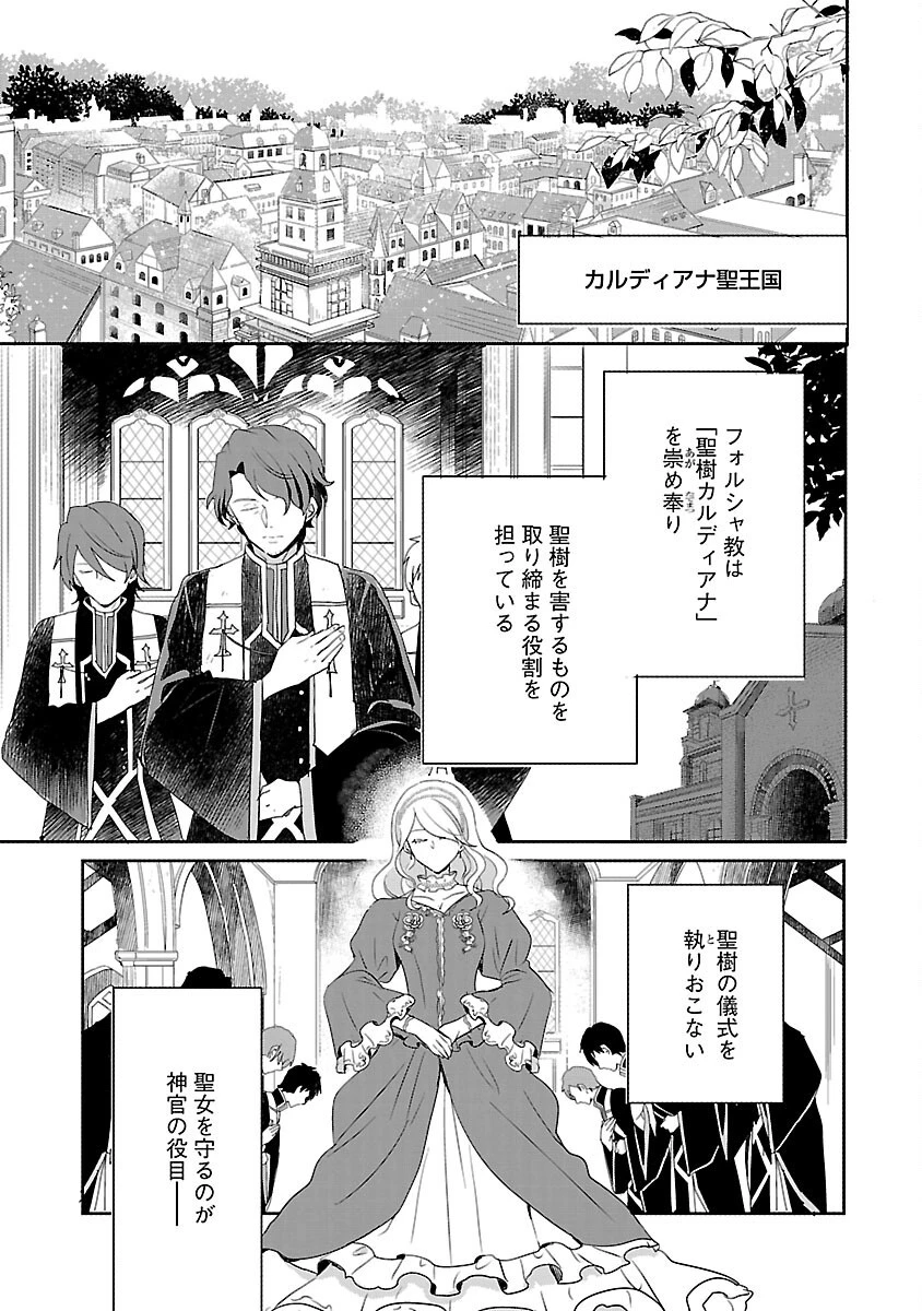 虐待されていた商家の令嬢は聖女の力を手に入れ、無自覚に容赦なく逆襲する 第2話 - 5