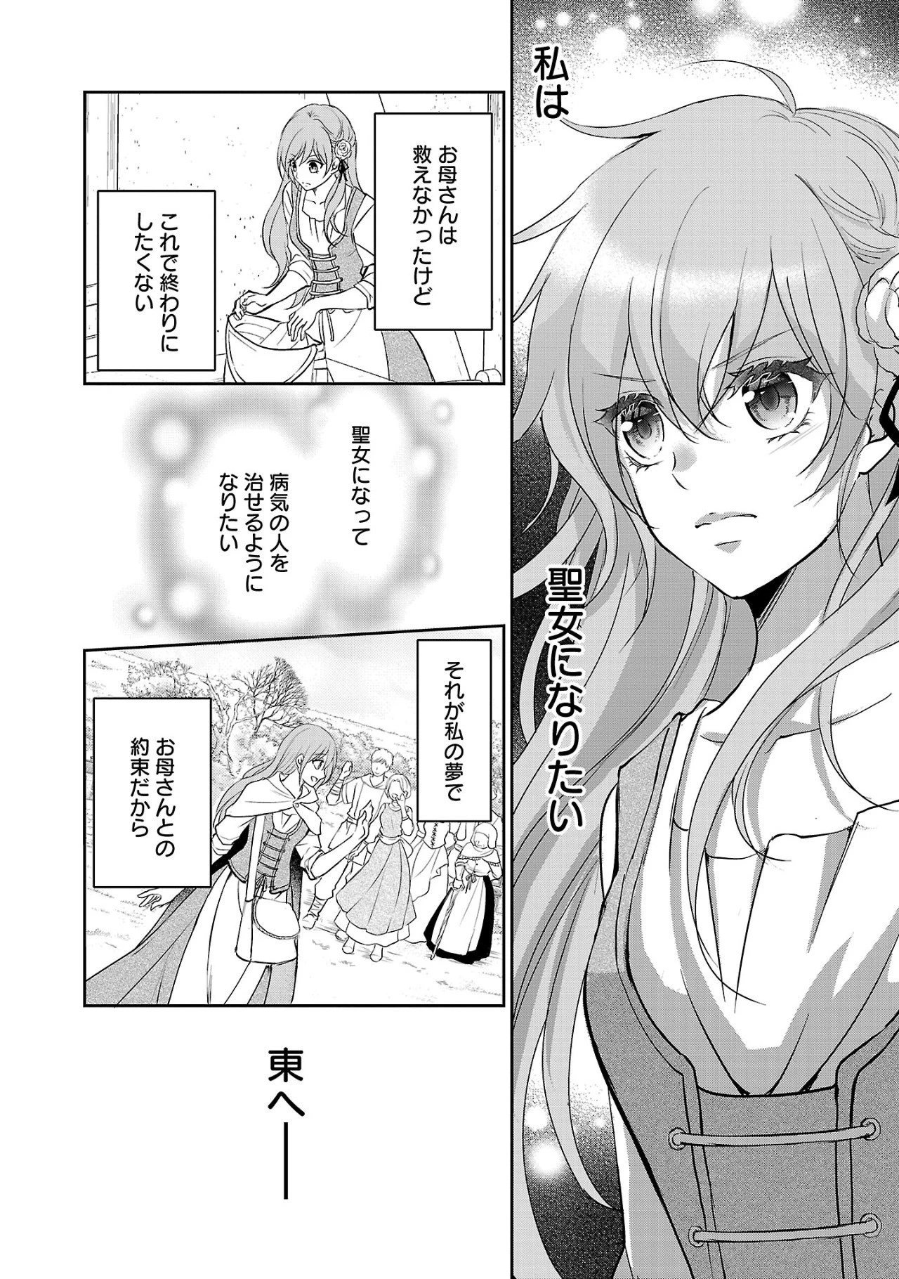 憧れの聖女になりましたが、全てを奪われたので復讐します。 第1話 - 14