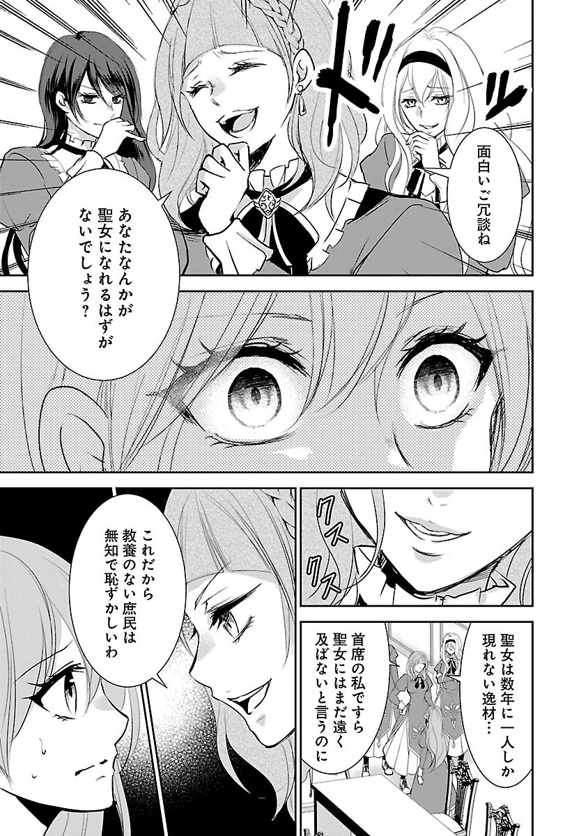 憧れの聖女になりましたが、全てを奪われたので復讐します。 第2話 - 9