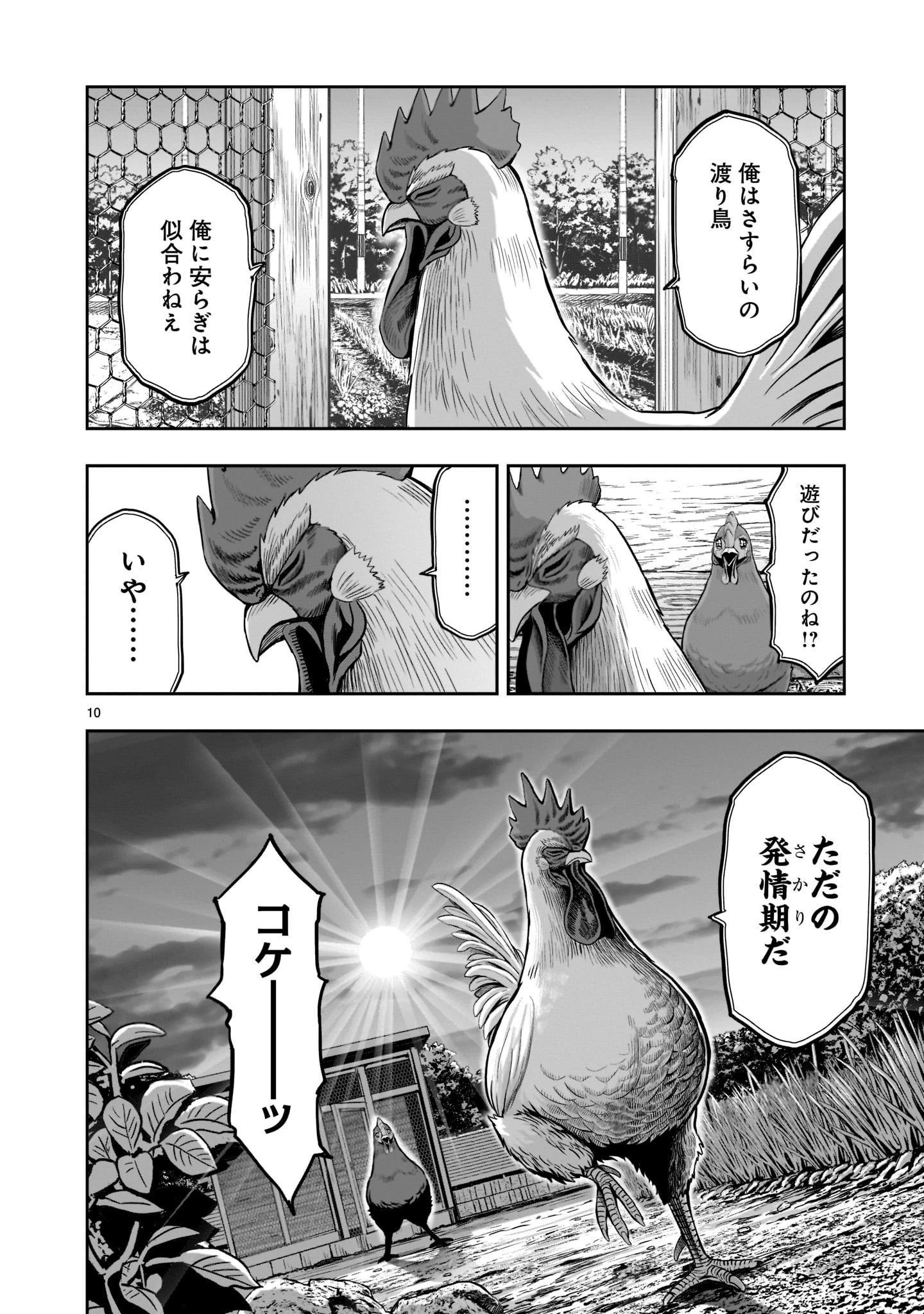 ニワトリ・ファイター 第1話 - 10