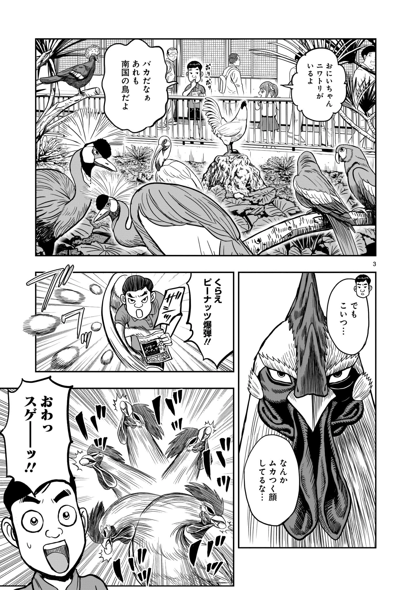 ニワトリ・ファイター 第3話 - 3