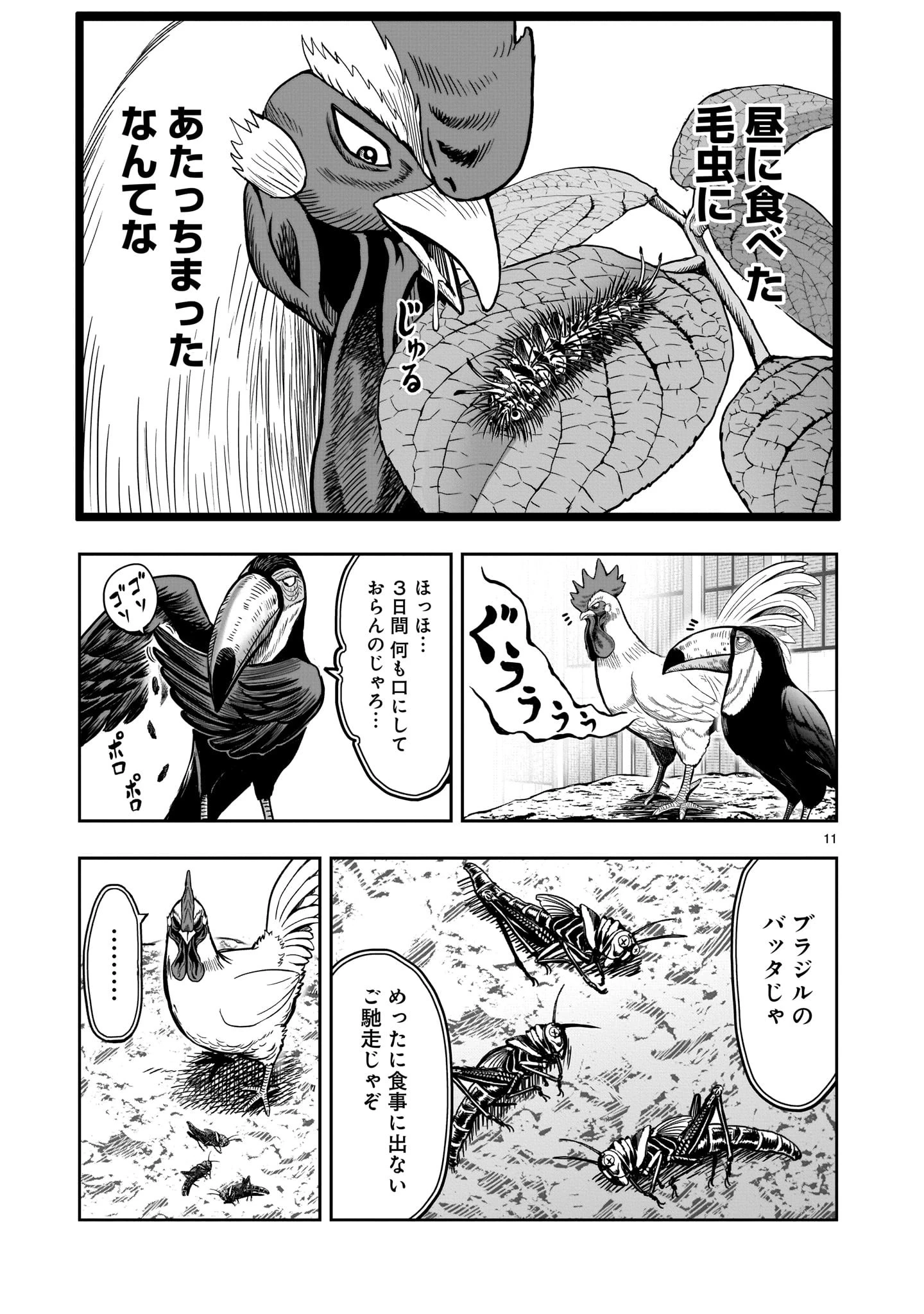 ニワトリ・ファイター 第3話 - 11