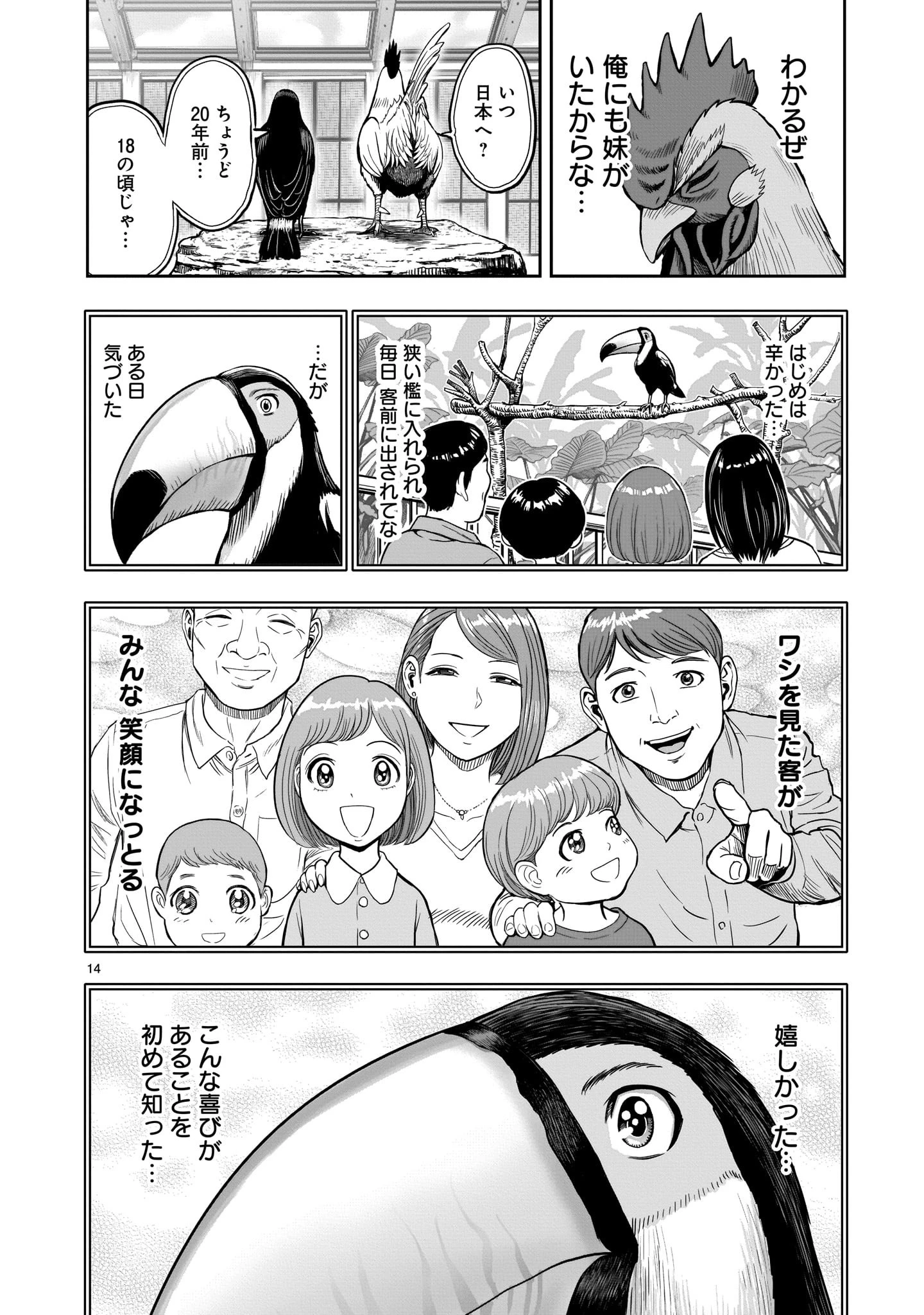ニワトリ・ファイター 第3話 - 14