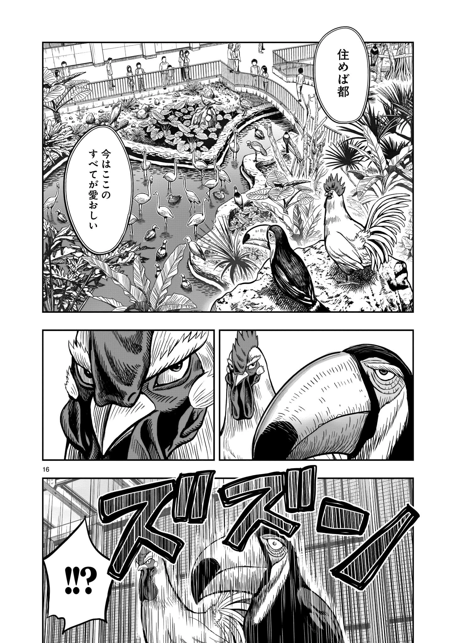 ニワトリ・ファイター 第3話 - 16