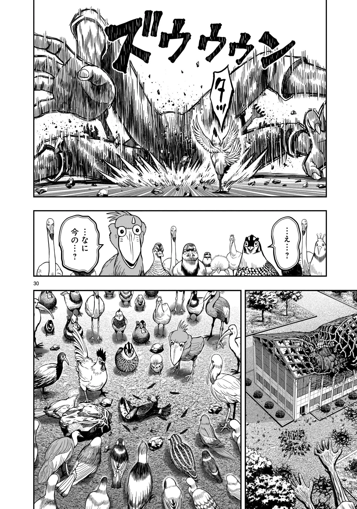 ニワトリ・ファイター 第3話 - 30