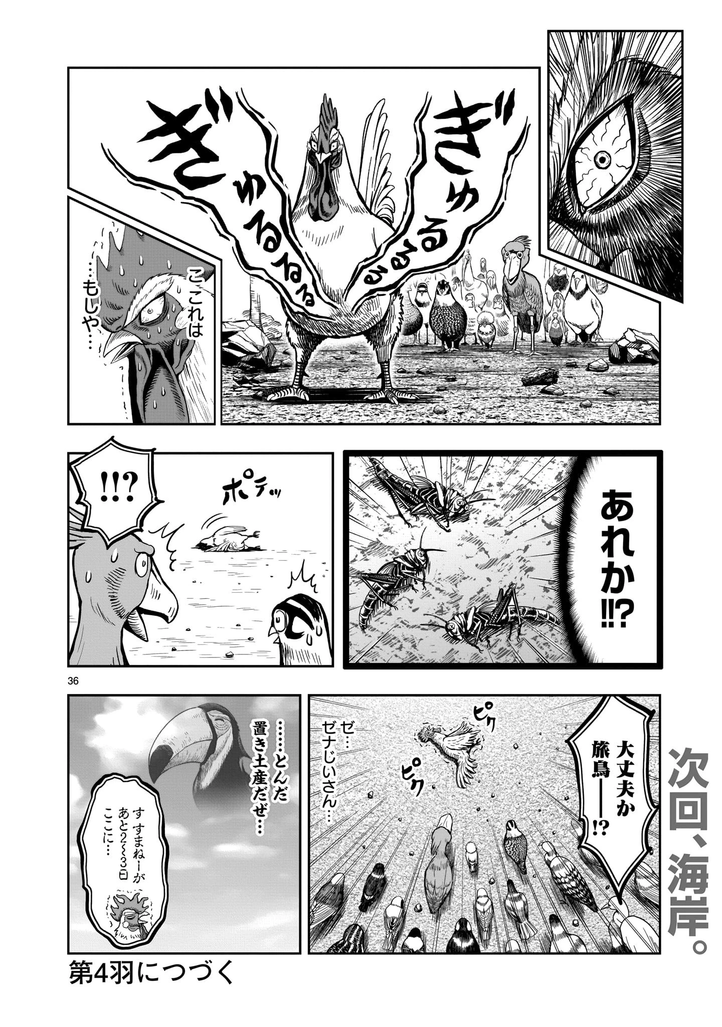 ニワトリ・ファイター 第3話 - 36