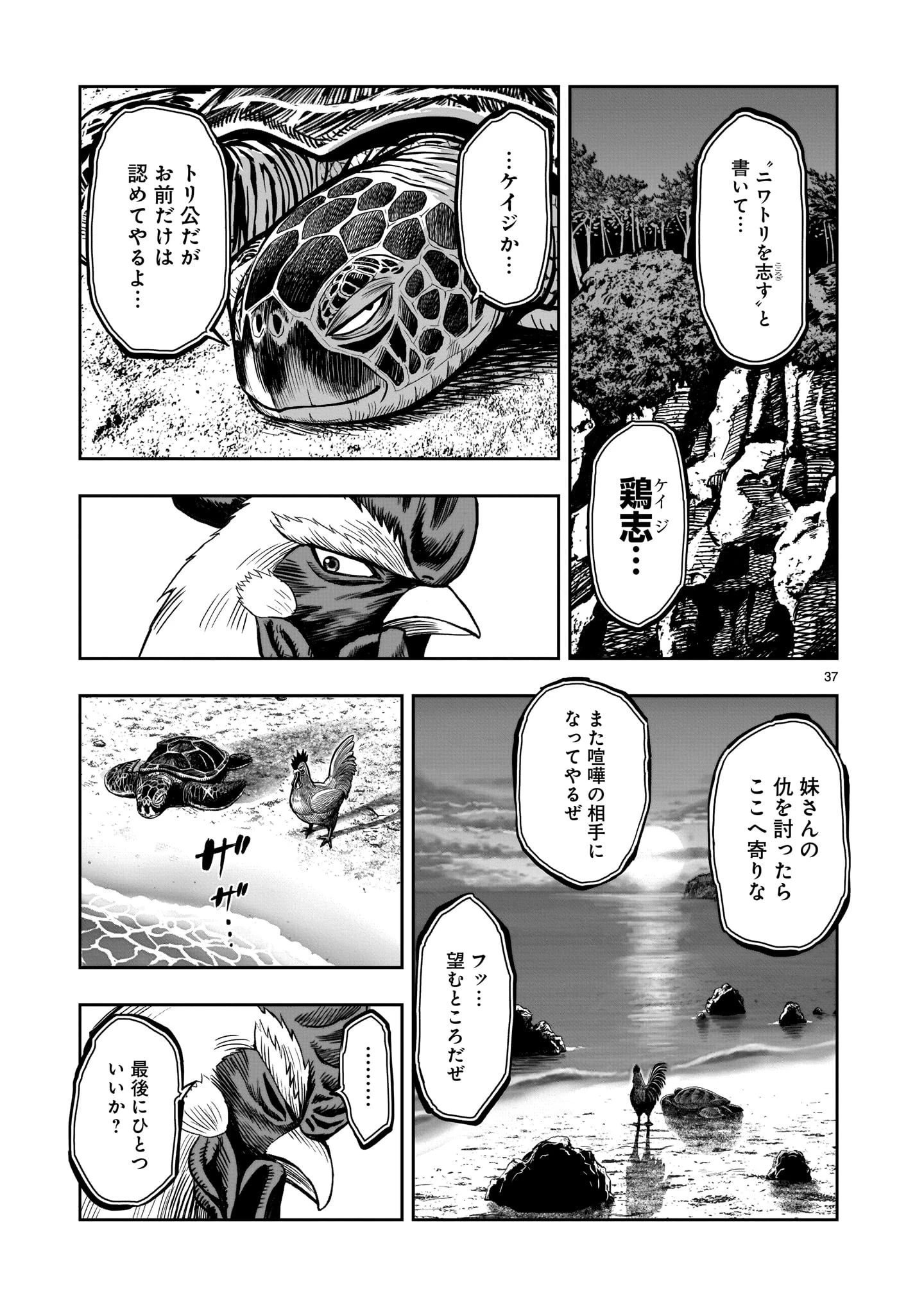 ニワトリ・ファイター 第4話 - 37