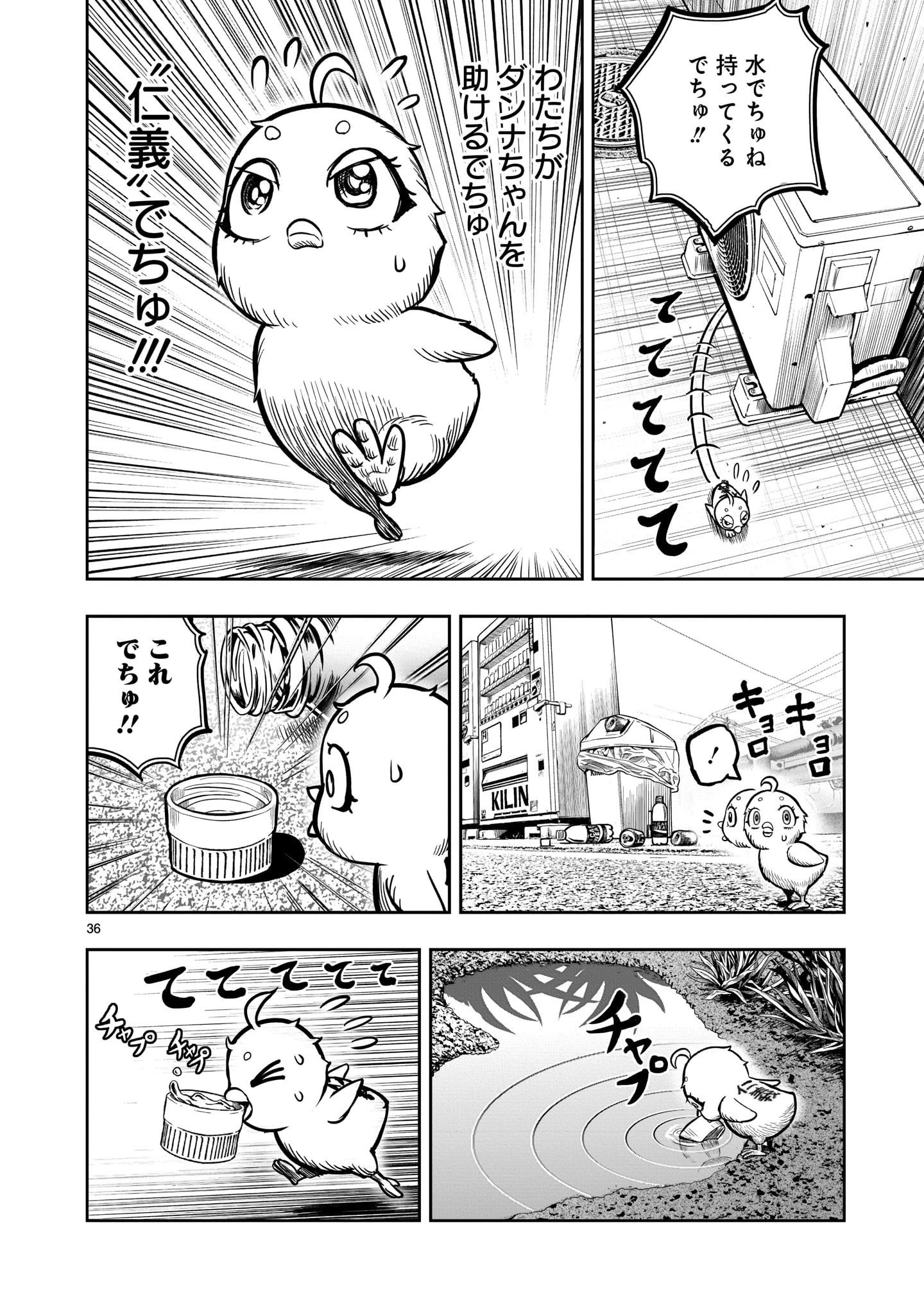 ニワトリ・ファイター 第6話 - 36