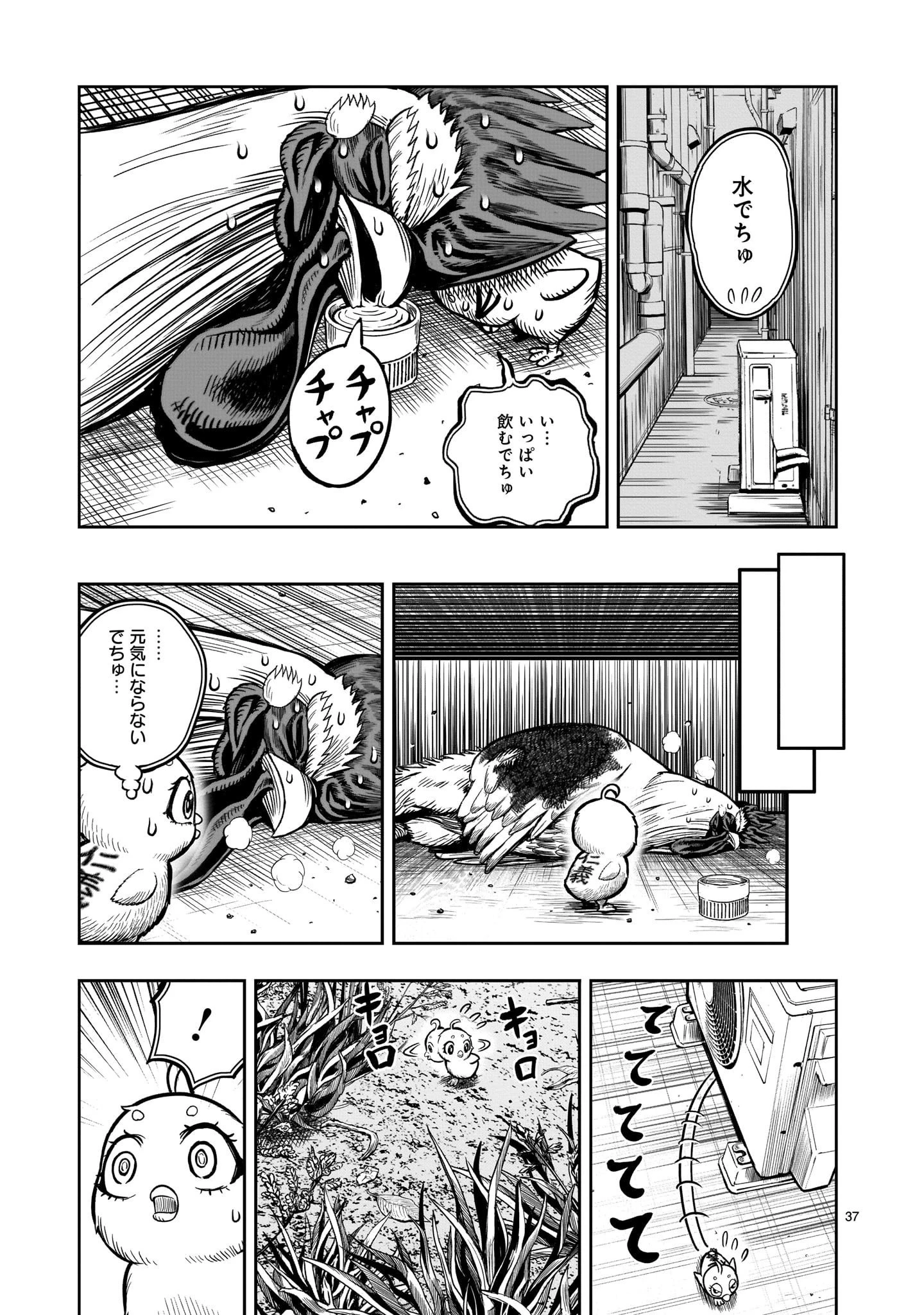 ニワトリ・ファイター 第6話 - 37