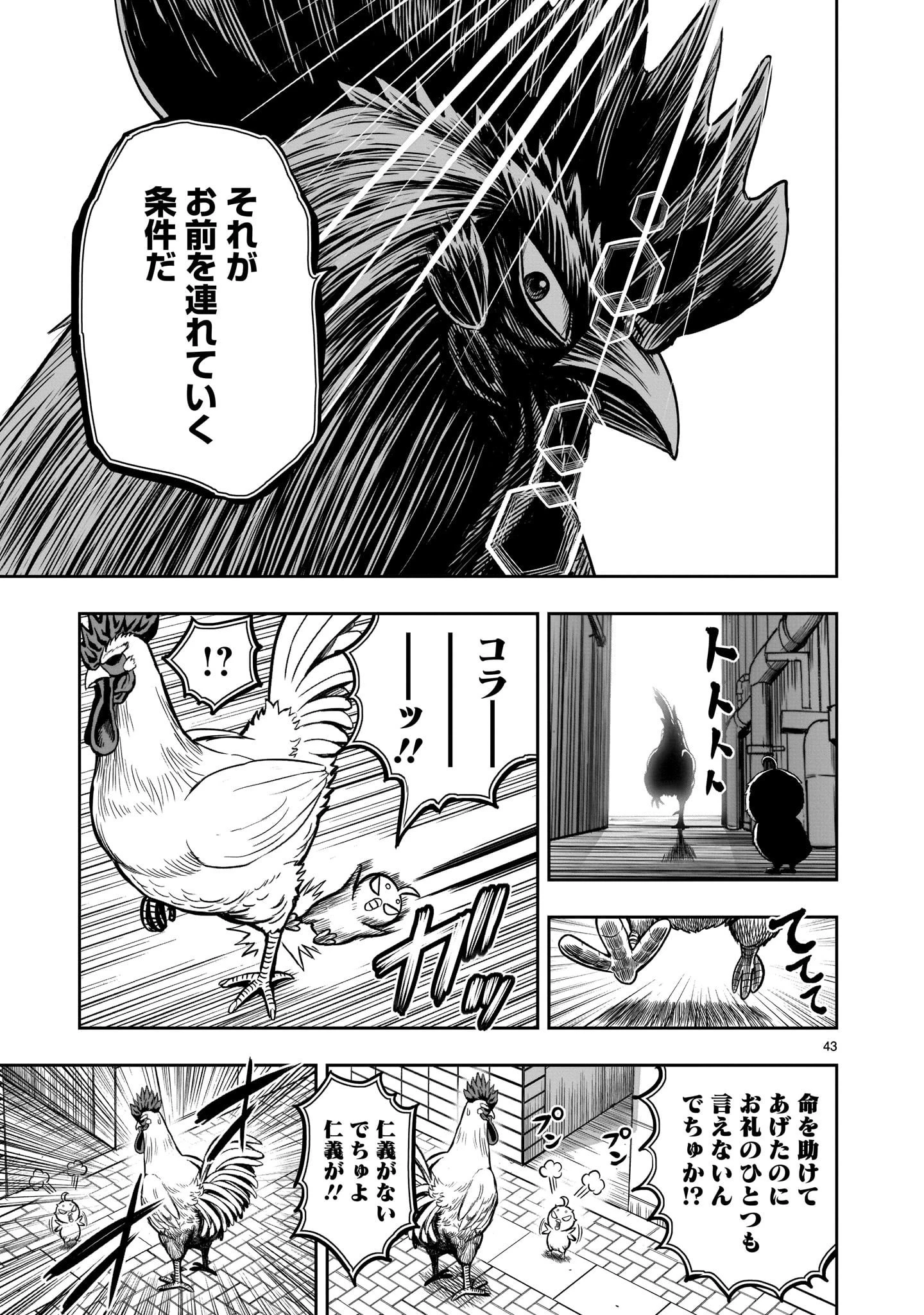 ニワトリ・ファイター 第6話 - 43