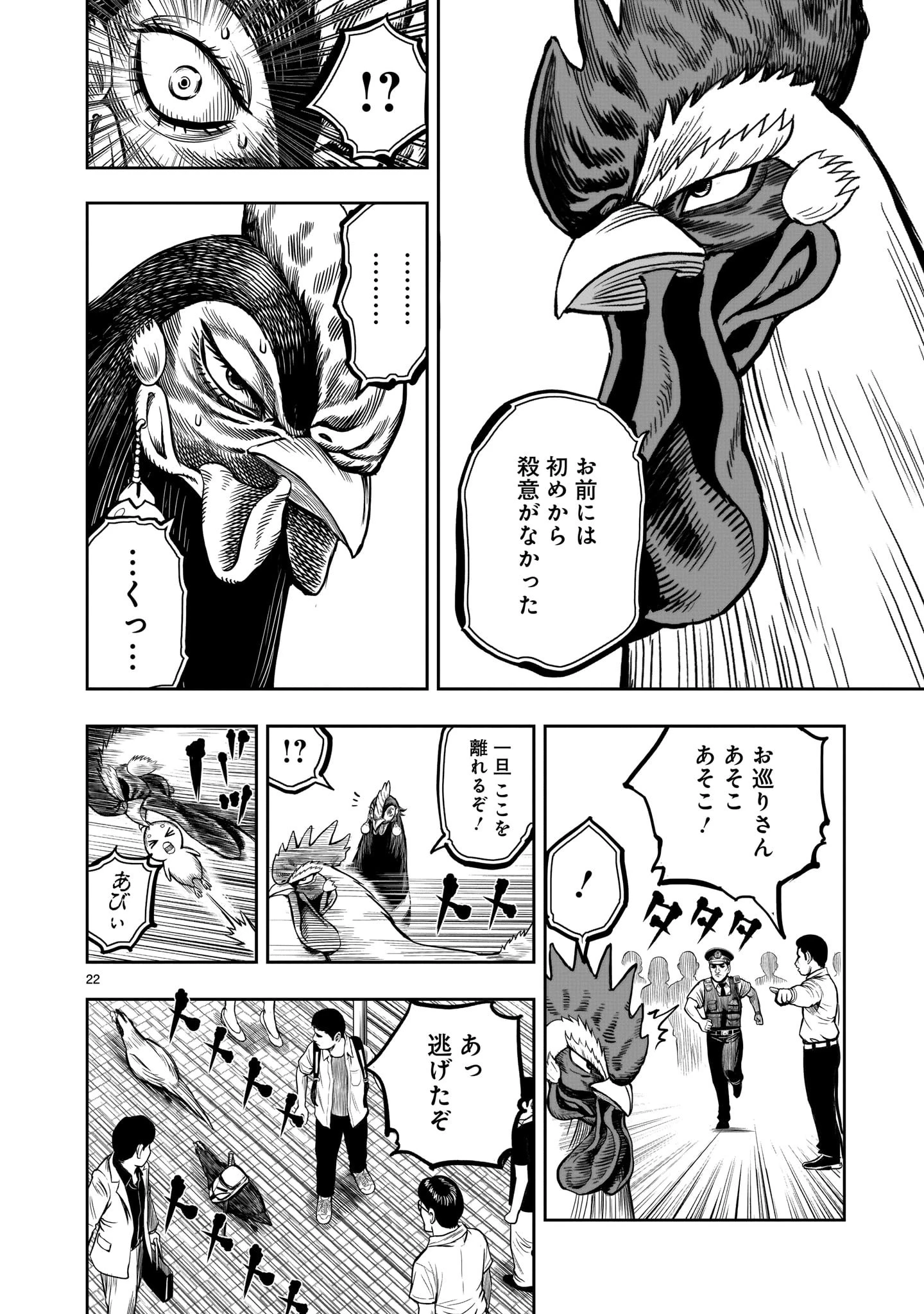 ニワトリ・ファイター 第7話 - 22