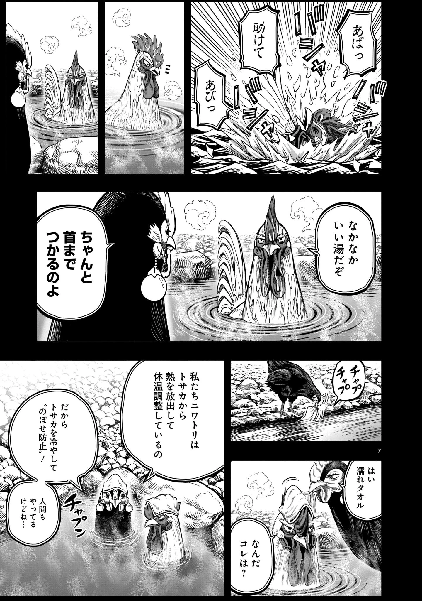 ニワトリ・ファイター 第8話 - 7