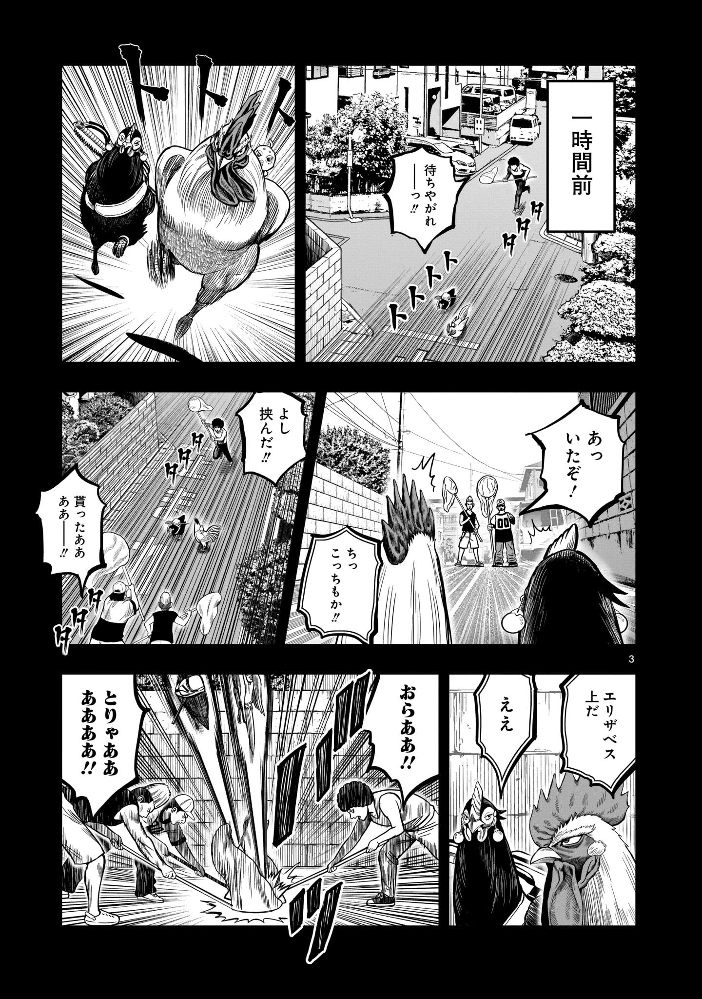 ニワトリ・ファイター 第12話 - 3