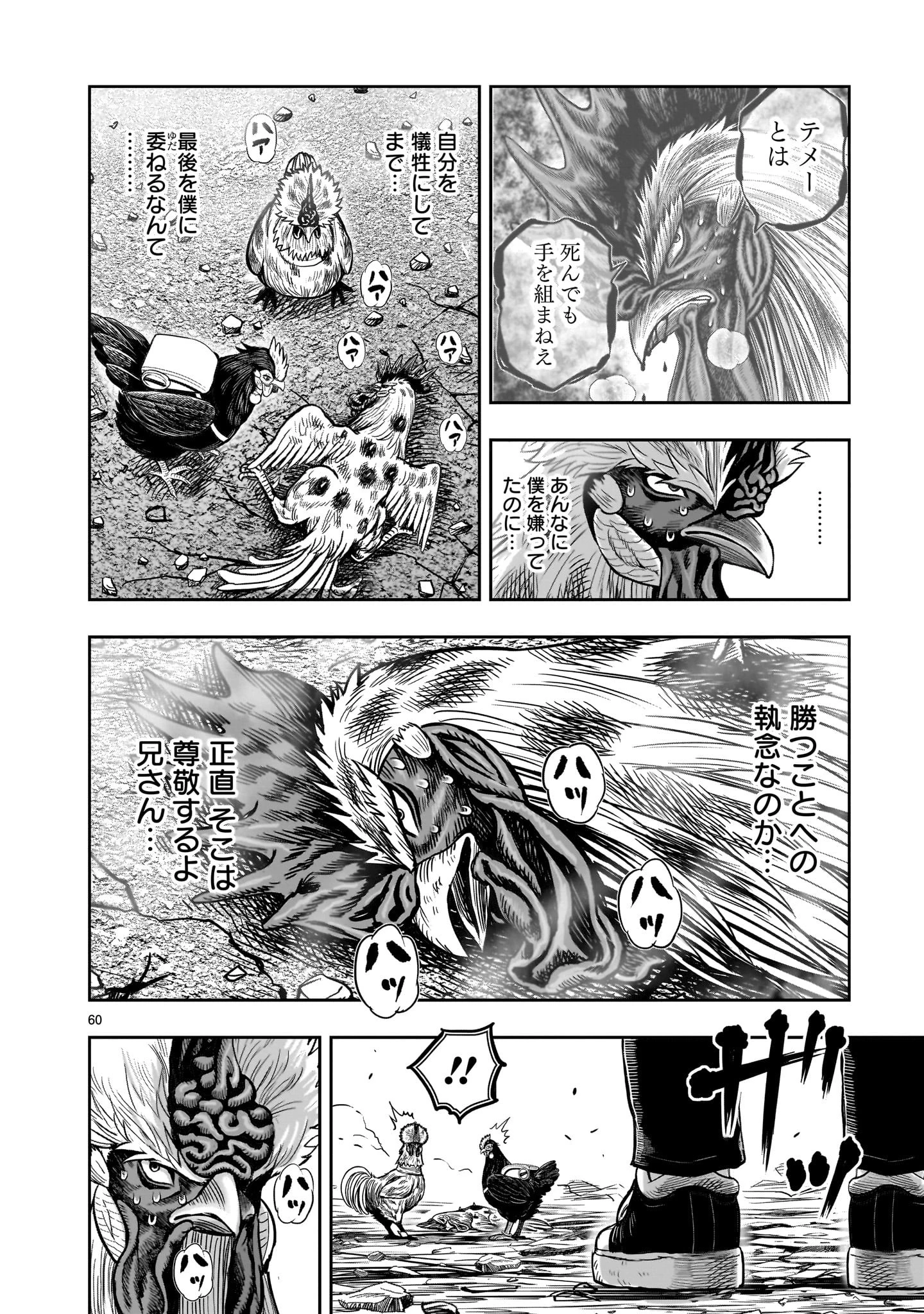 ニワトリ・ファイター 第25話 - 60