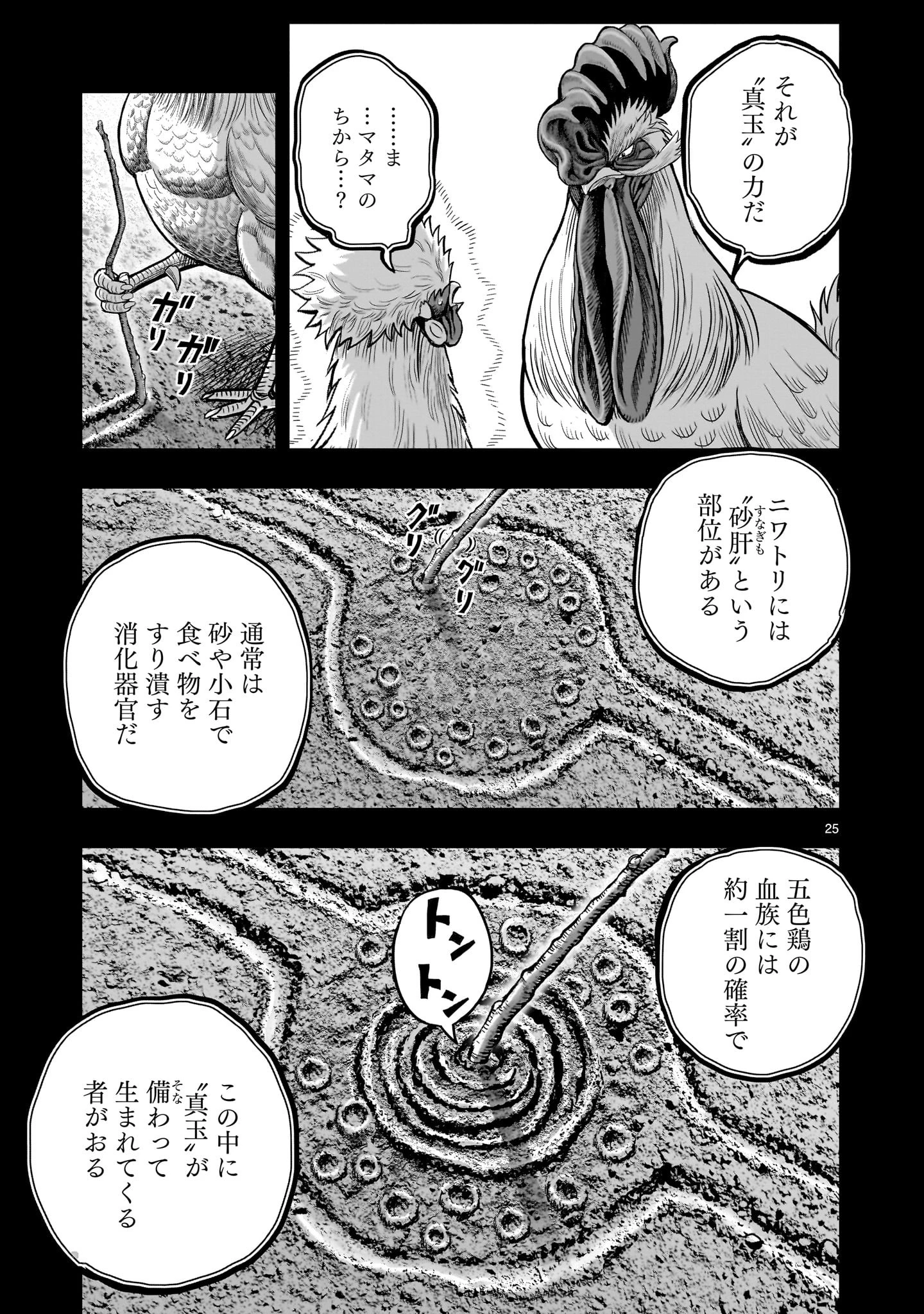 ニワトリ・ファイター 第26話 - 25