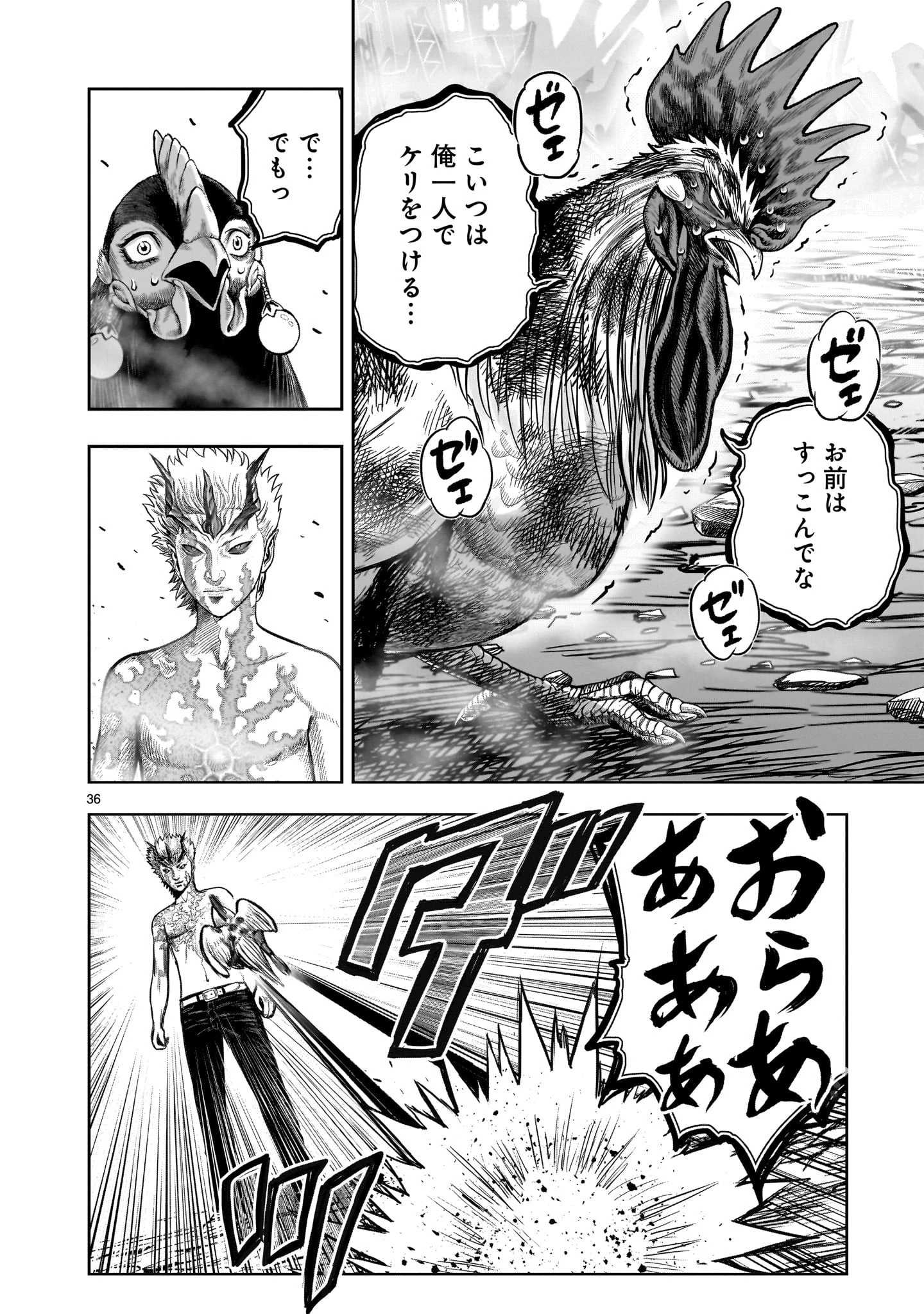 ニワトリ・ファイター 第27話 - 36