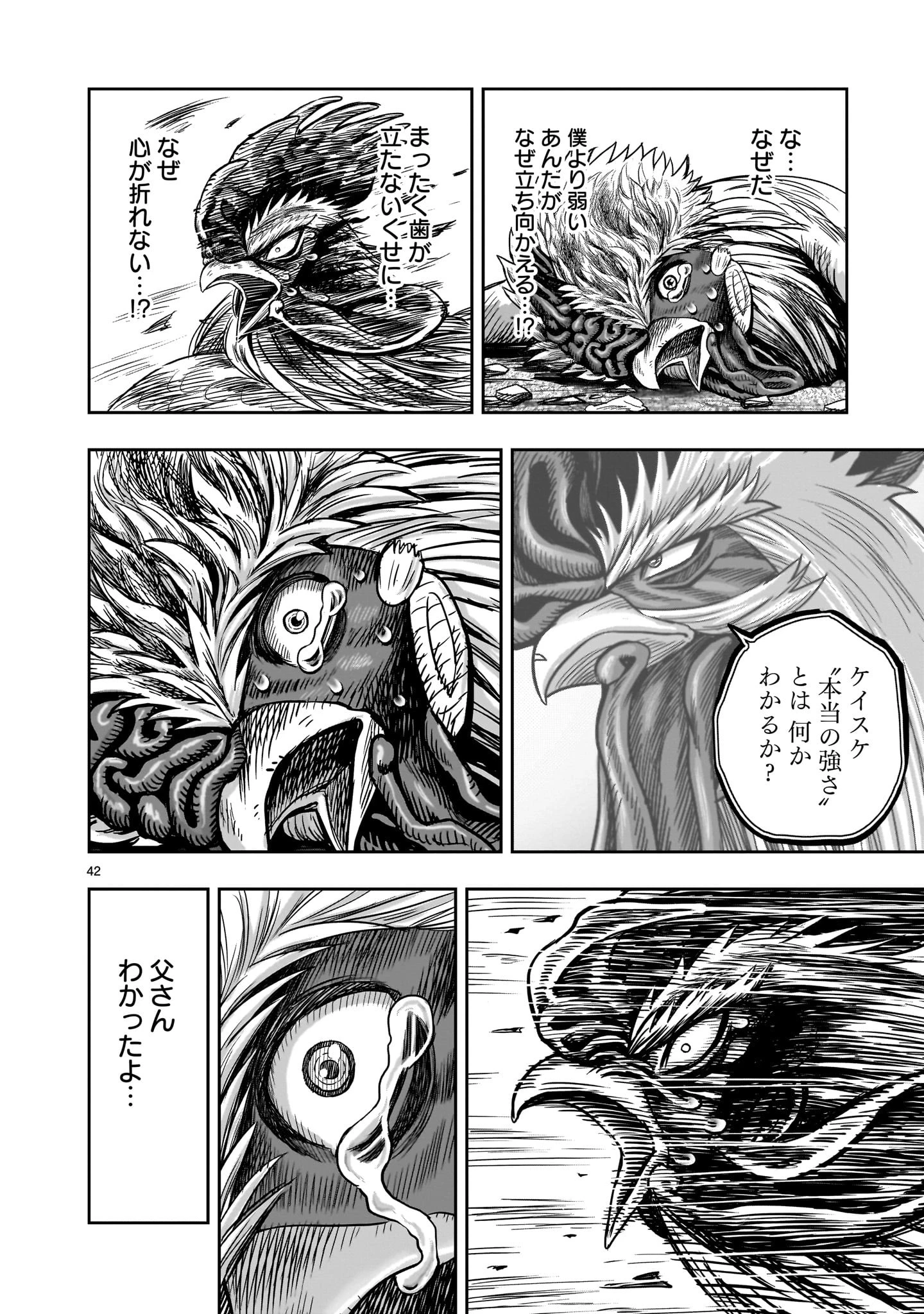 ニワトリ・ファイター 第27話 - 42