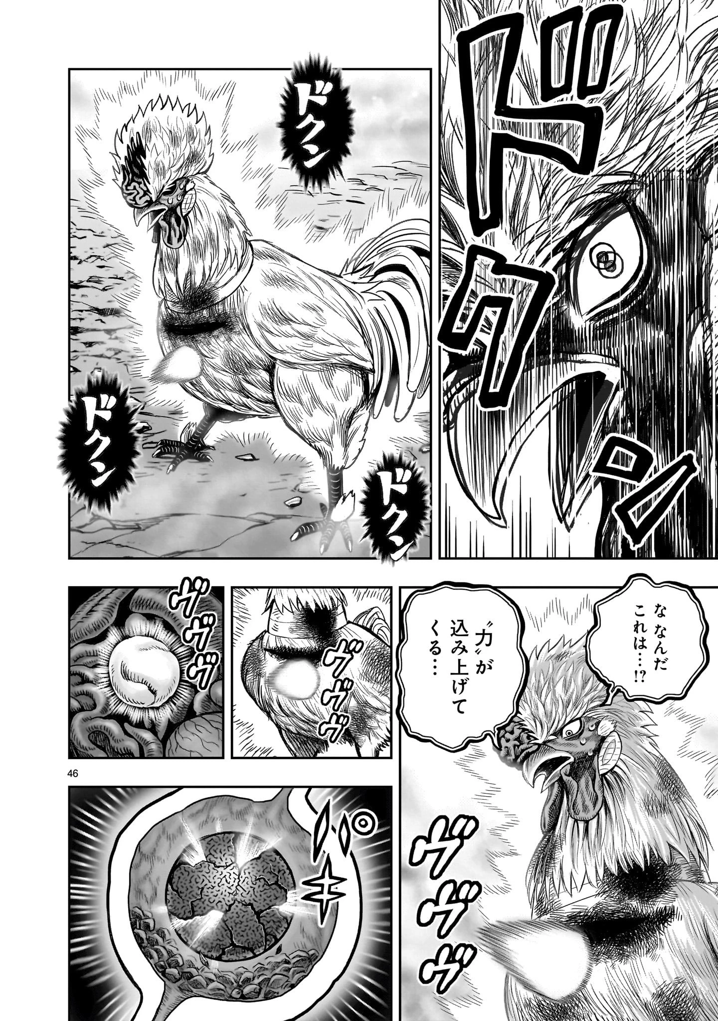 ニワトリ・ファイター 第27話 - 46