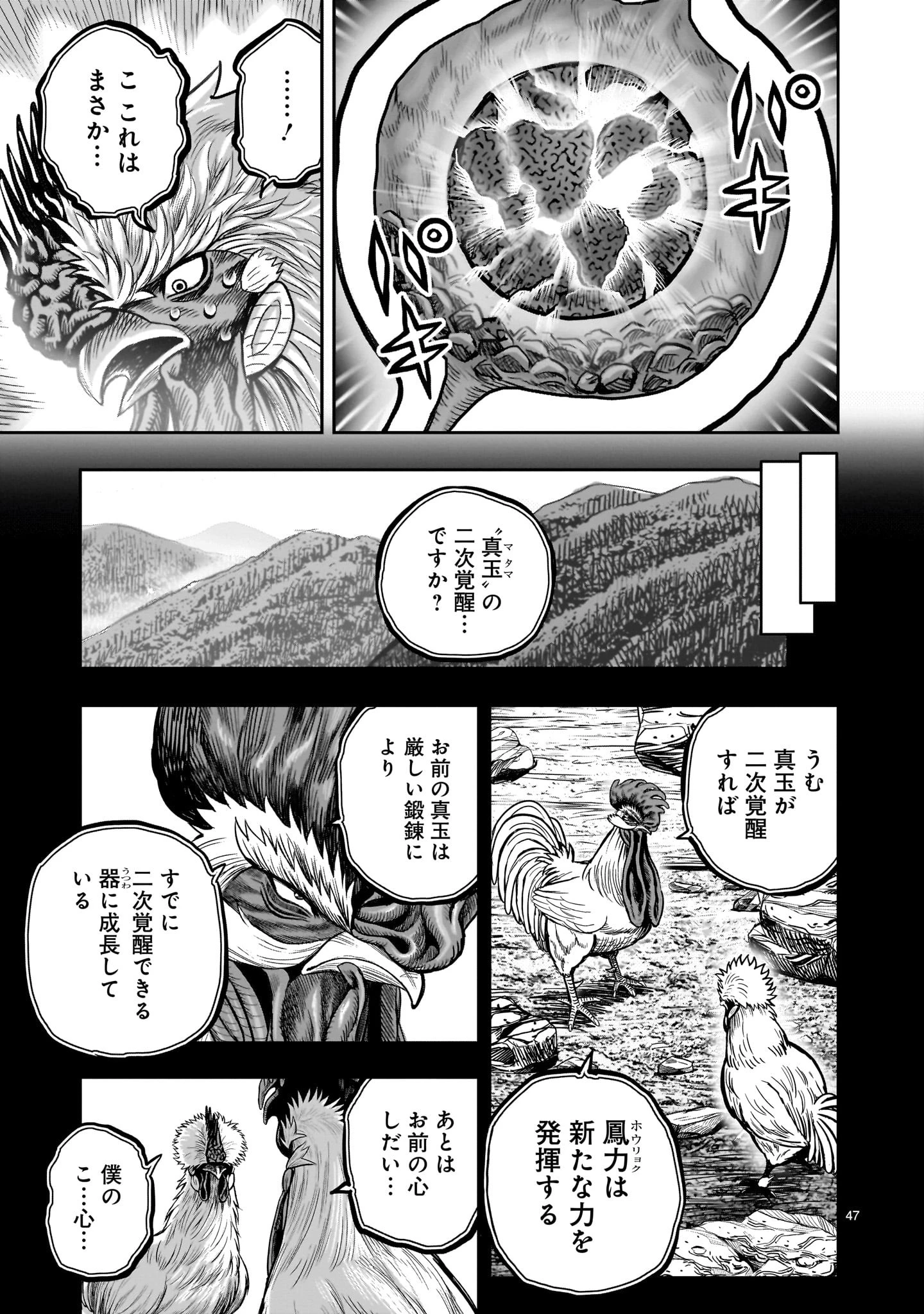 ニワトリ・ファイター 第27話 - 47
