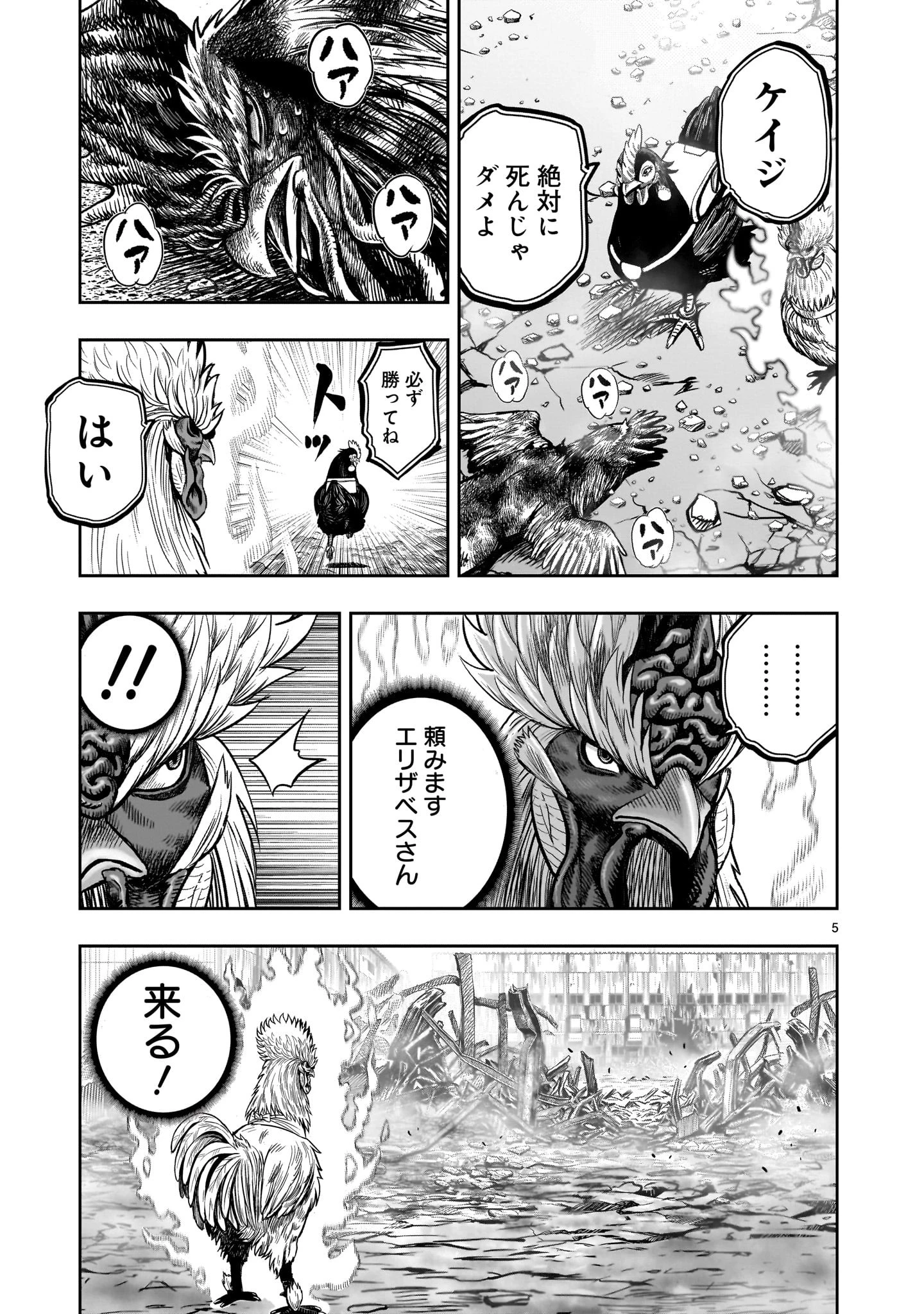 ニワトリ・ファイター 第28話 - 5